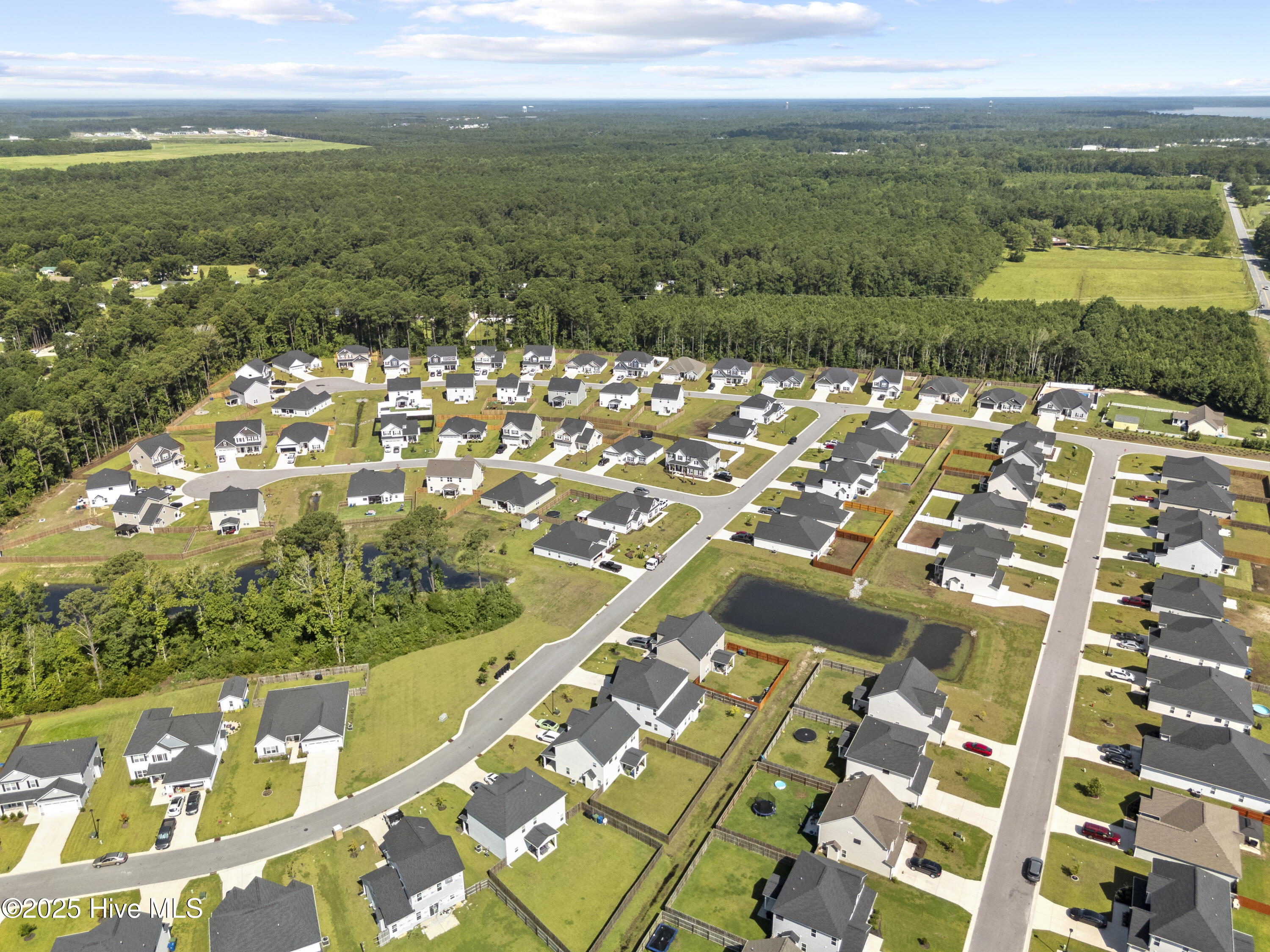 100518858 | Photo 55