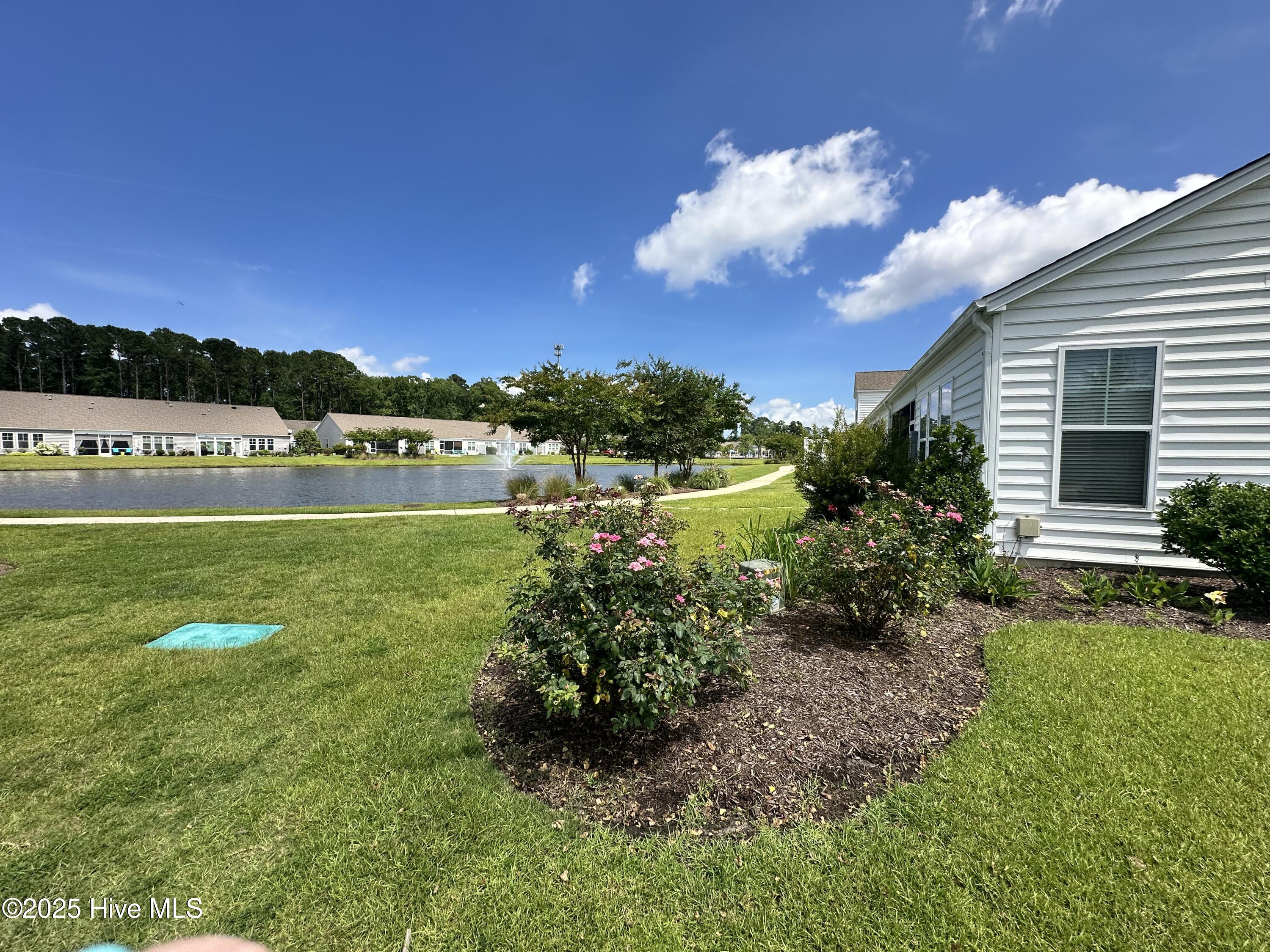 100554847 | Photo 40