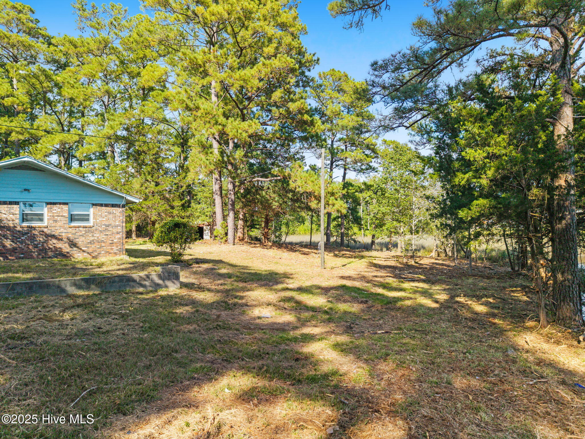 100534429 | Photo 11