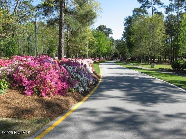 100560502 | Photo 10