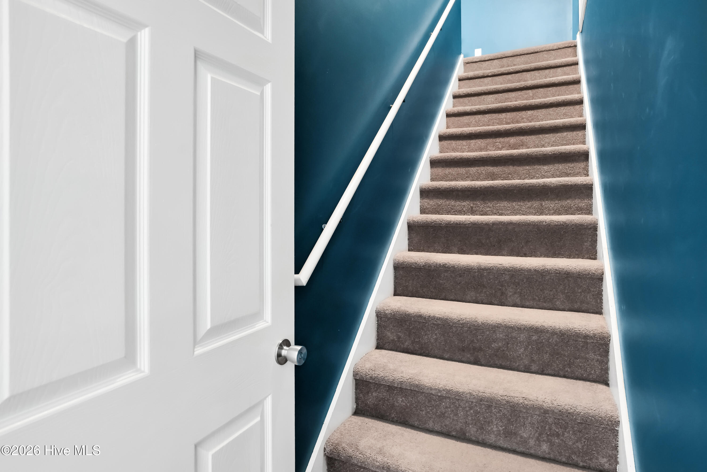 100555387 | Photo 26