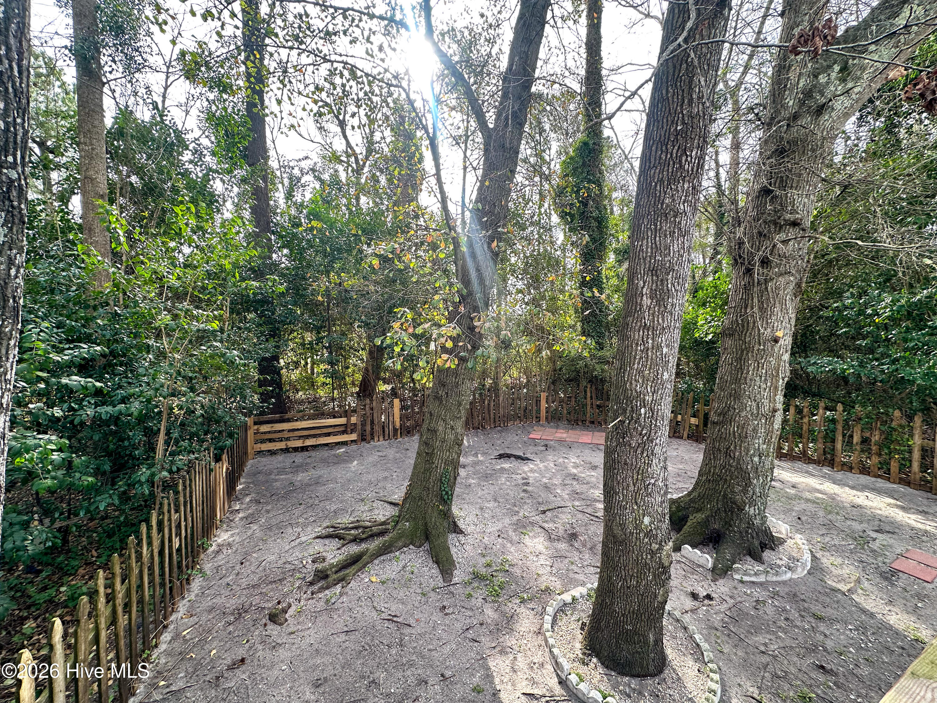 100553133 | Photo 15