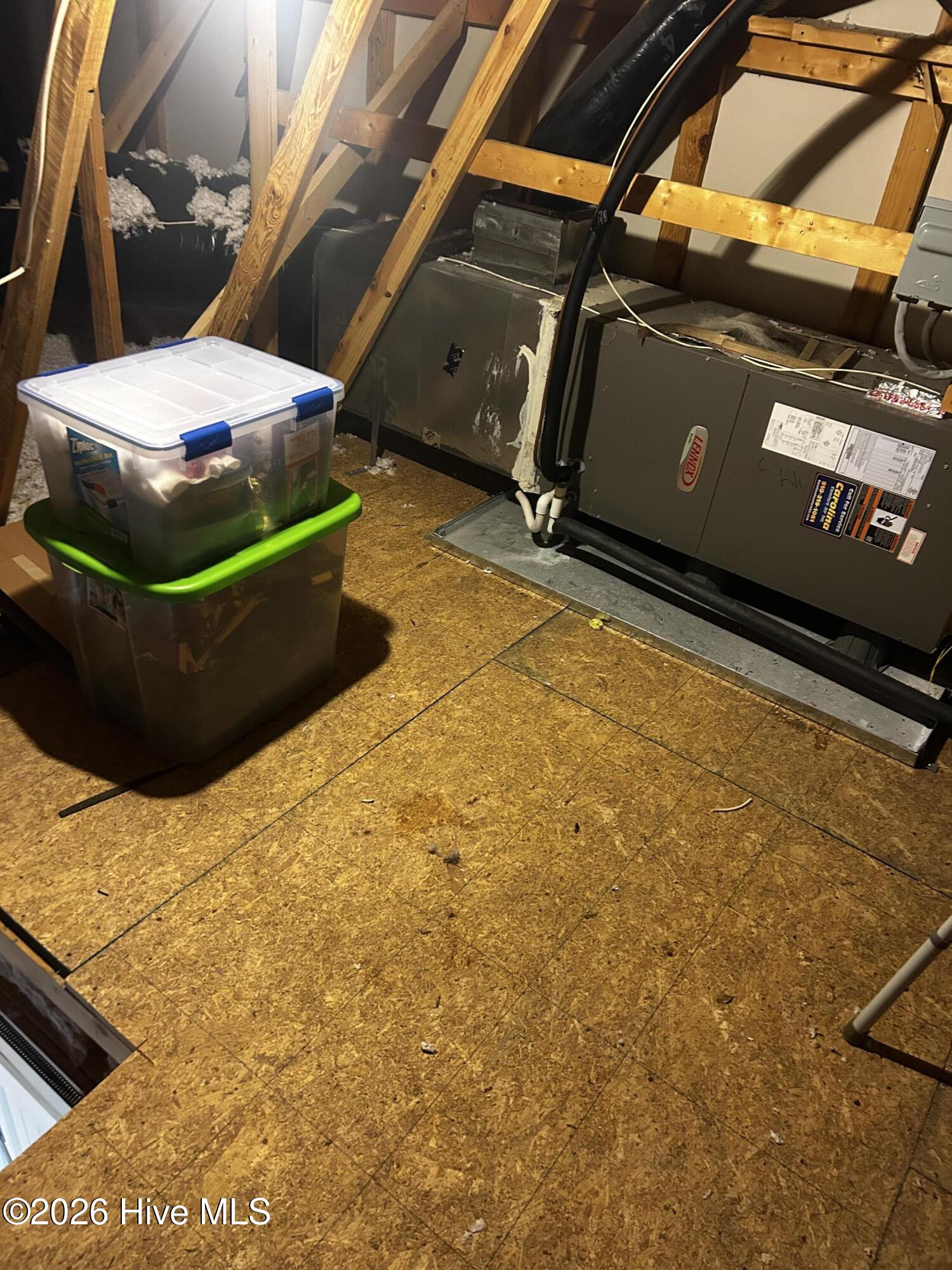 100559170 | Photo 31