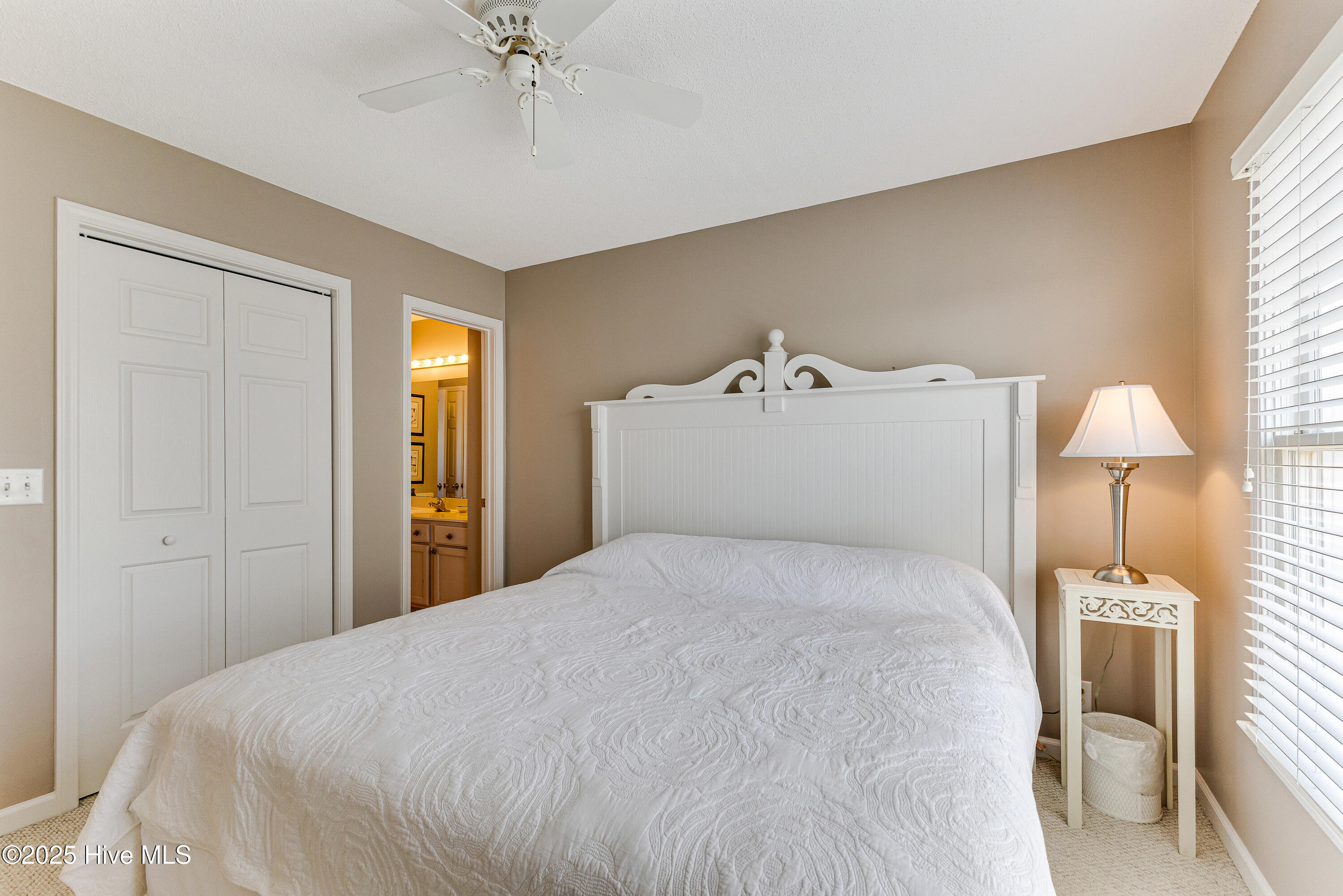 100522444 | Photo 30