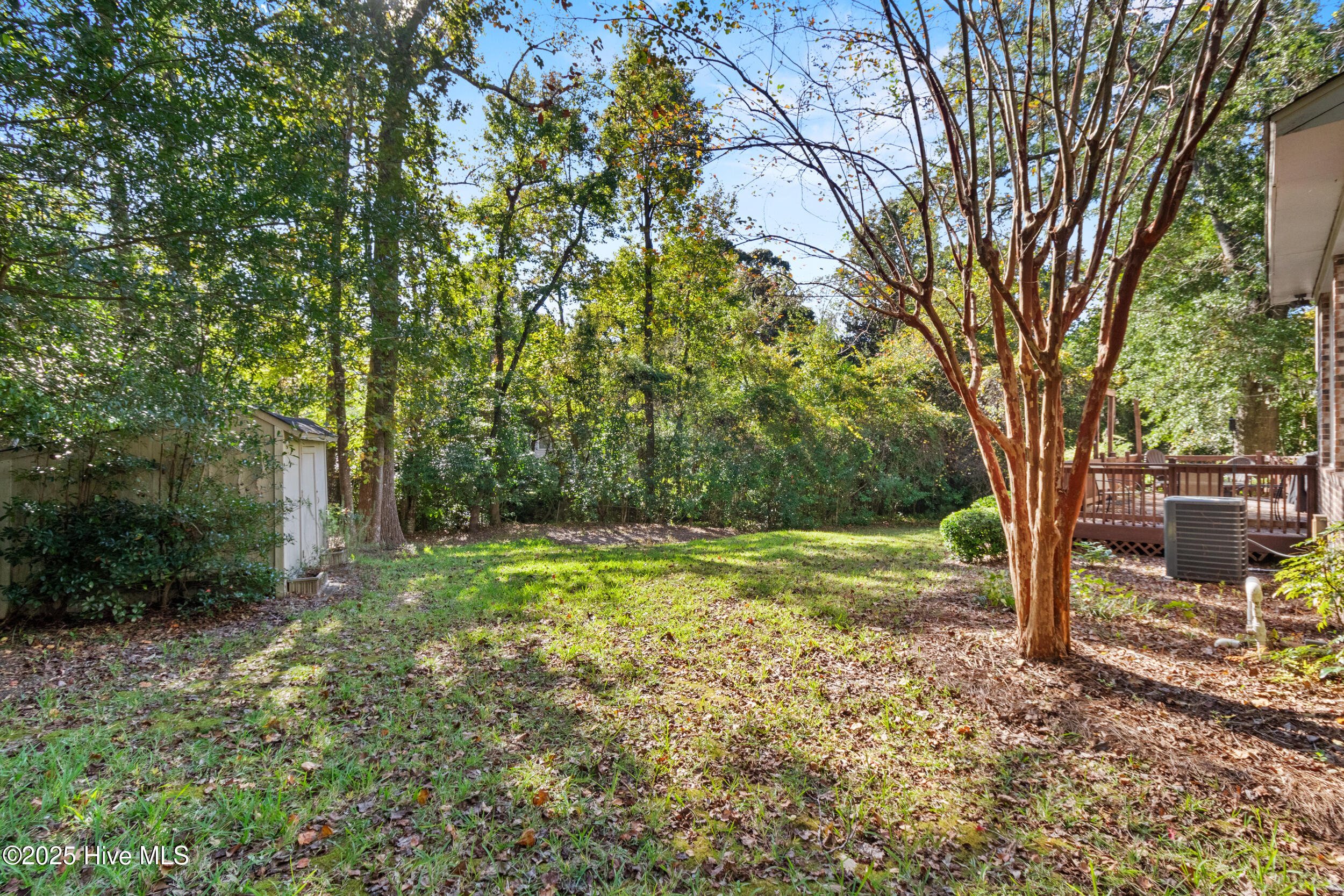 100537908 | Photo 32