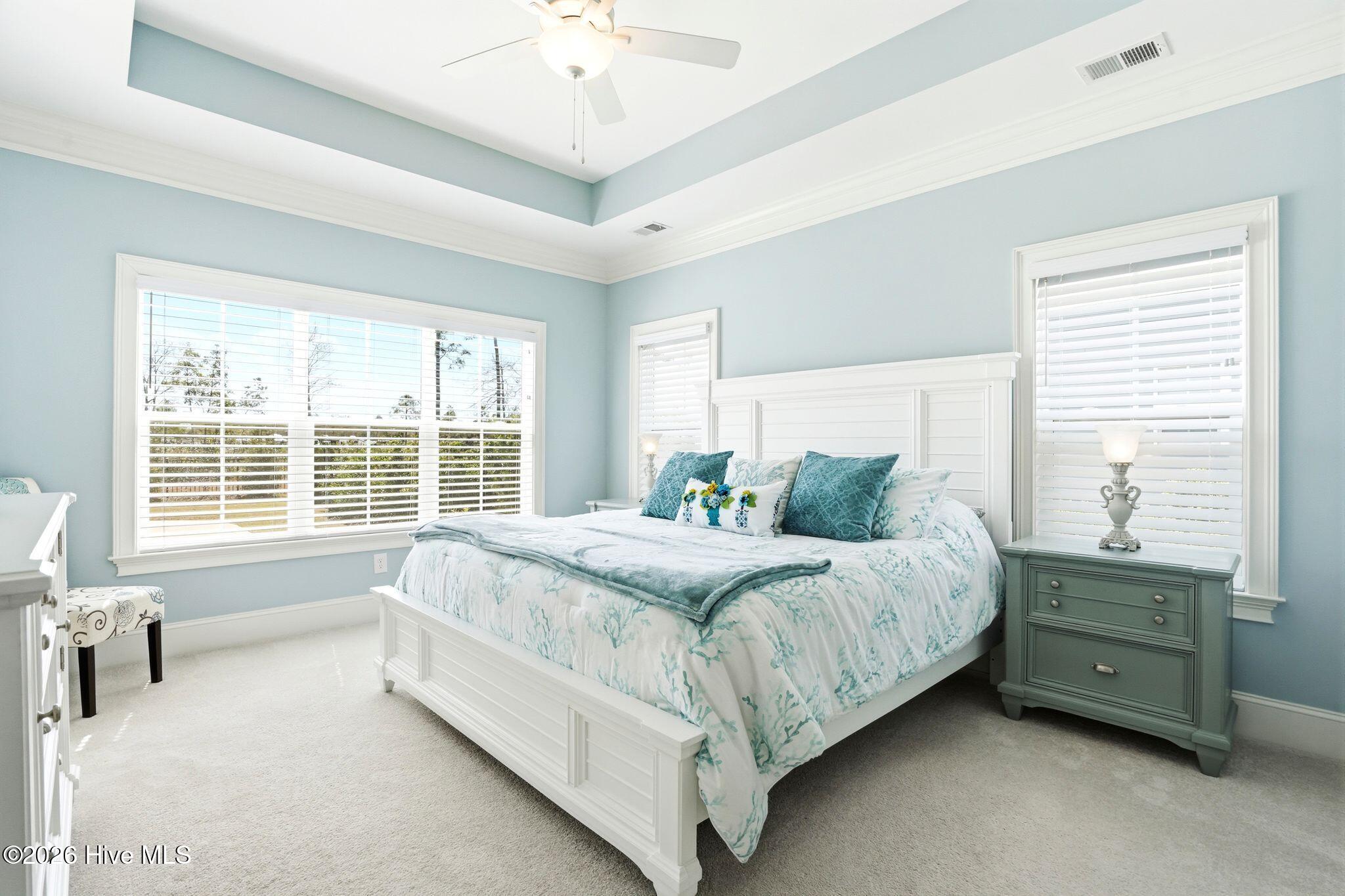 100563087 | Photo 19