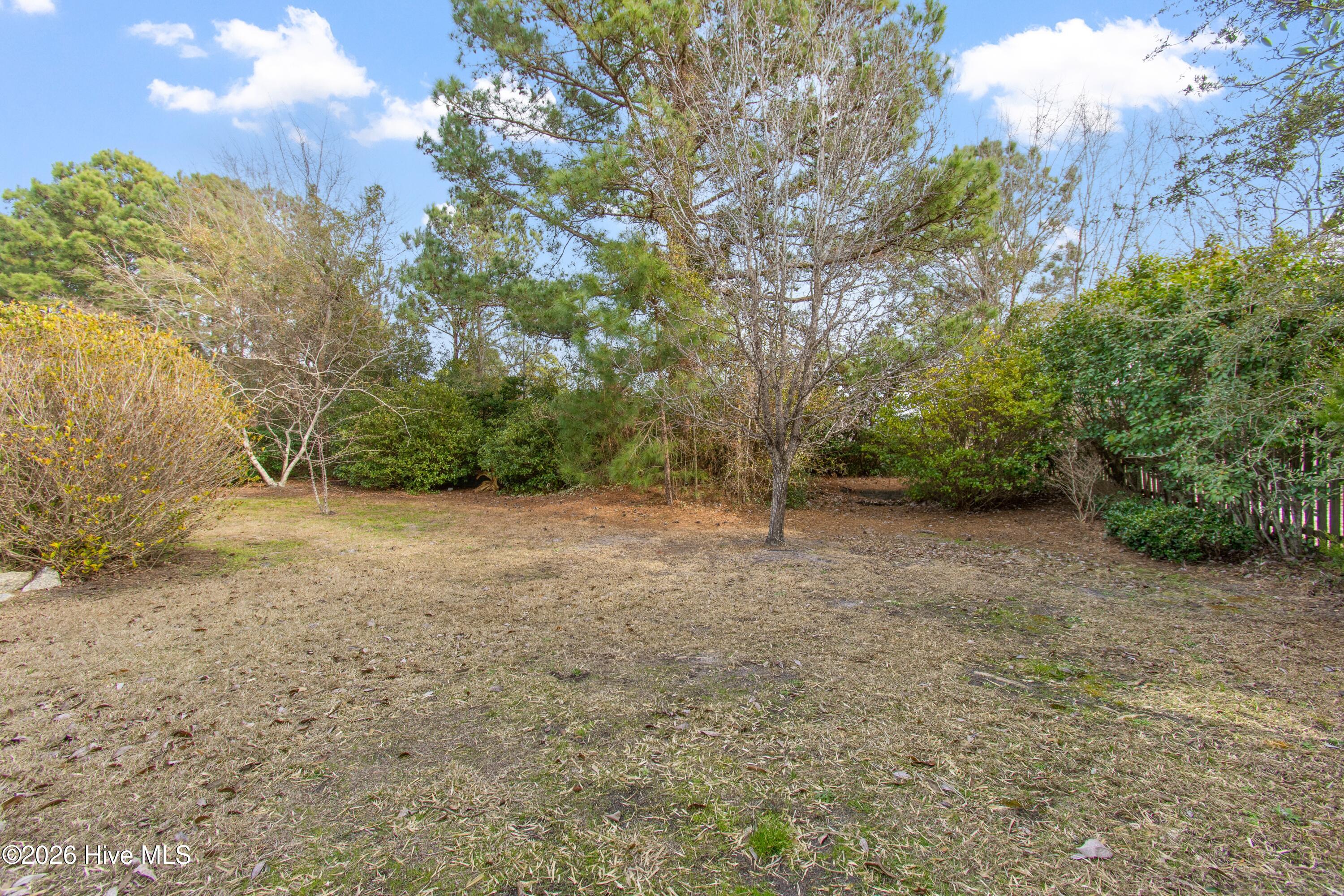 100556789 | Photo 25