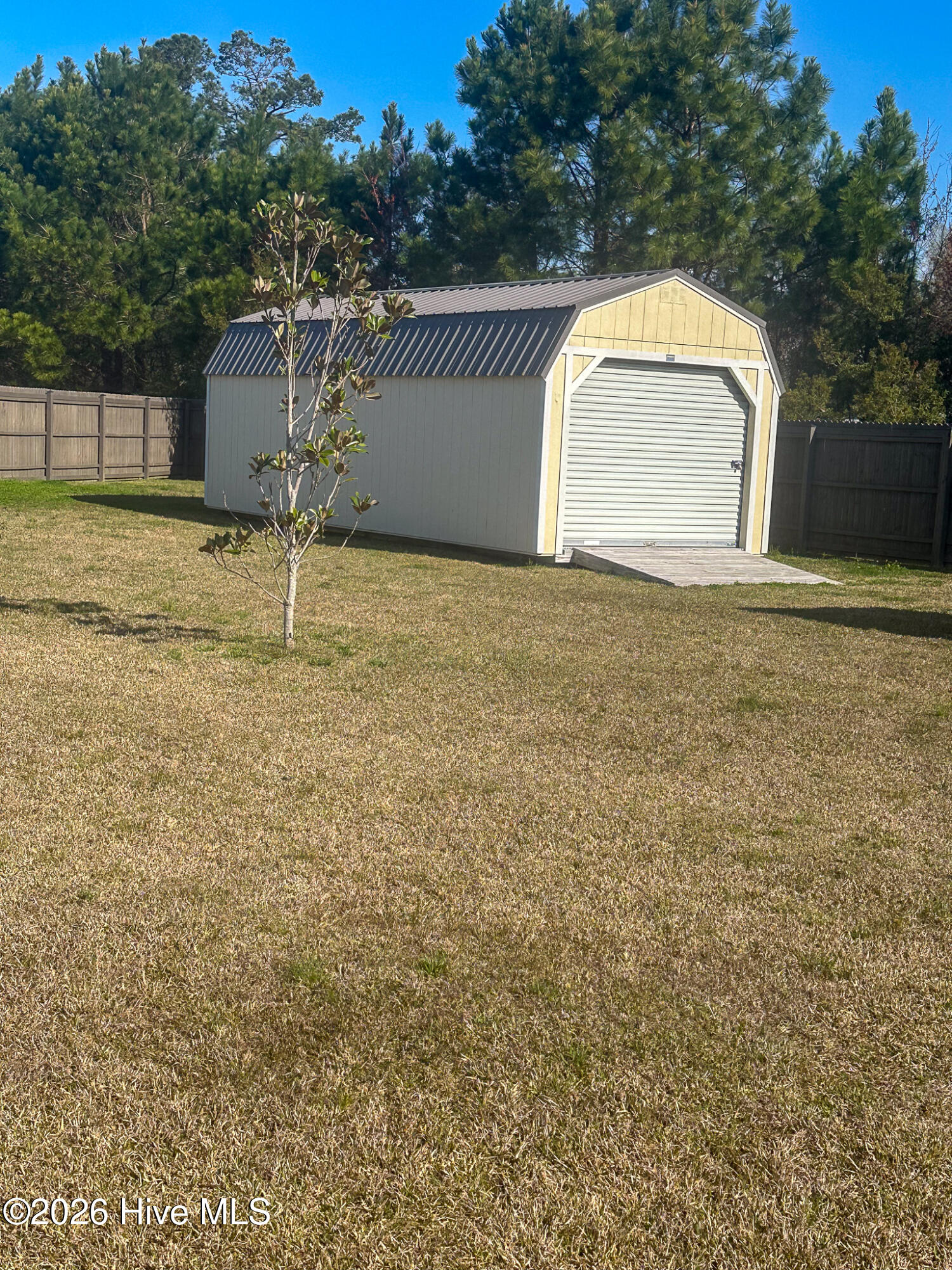 100568057 | Photo 24