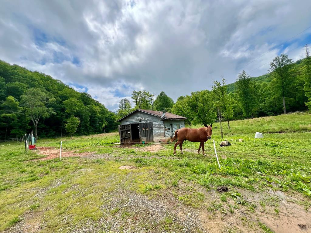 3325 Pack Mountain Road, Murphy, NC 28906 Listing Photo  8