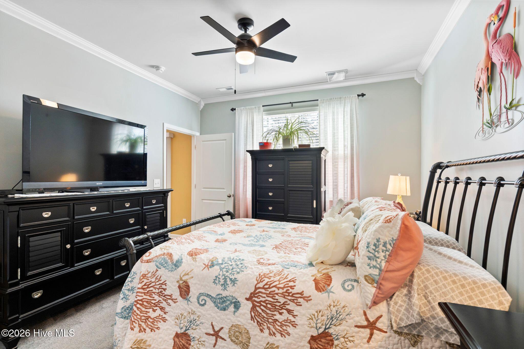 100550283 | Photo 32