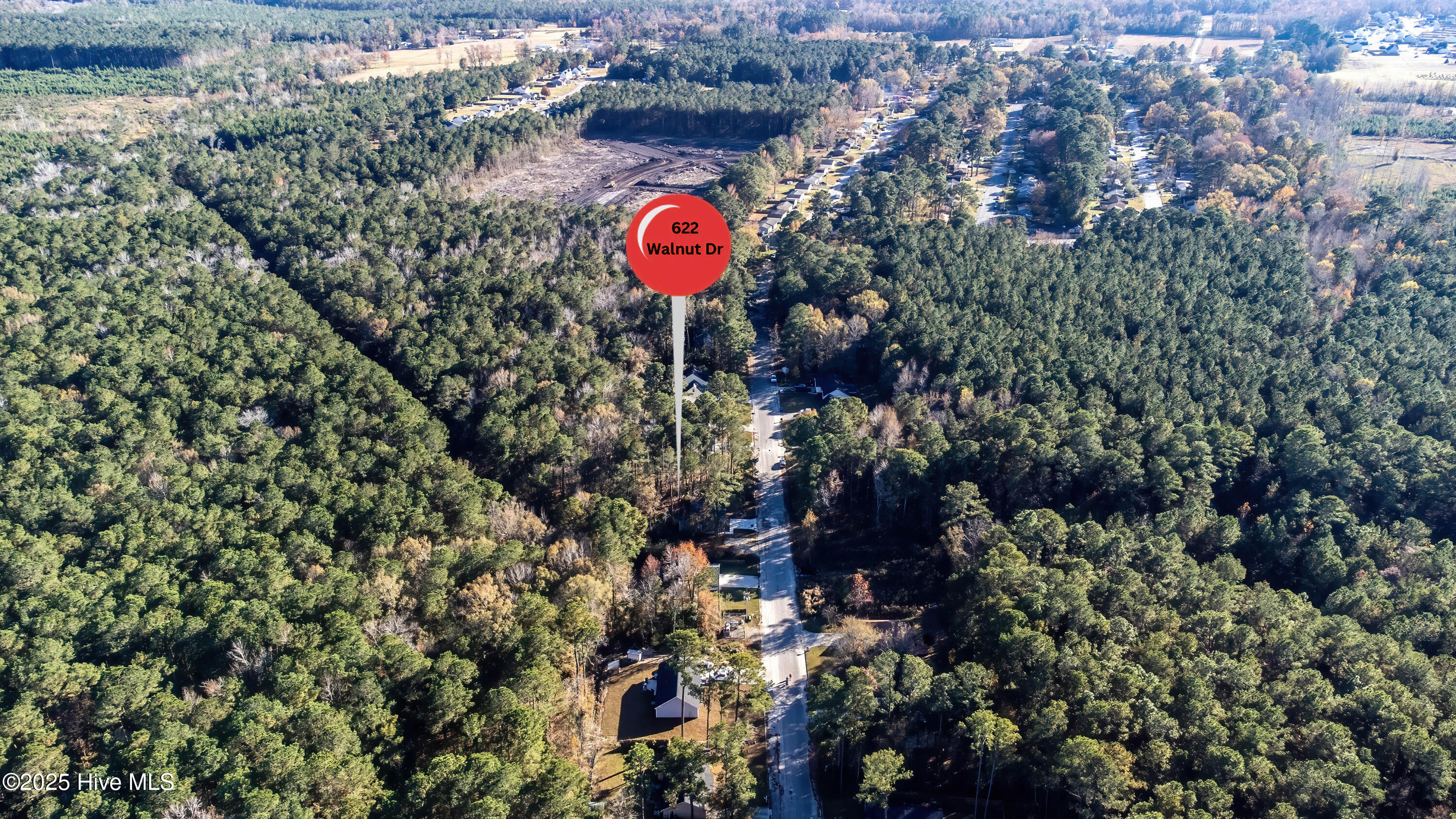 100538278 | Photo 51