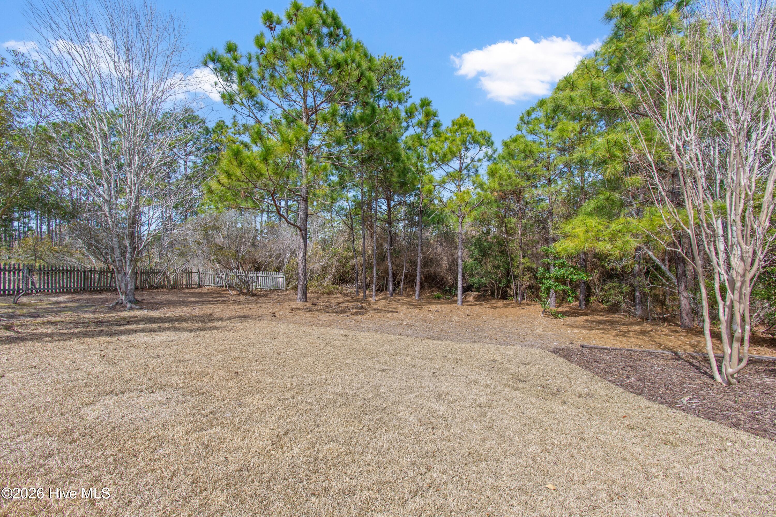 100561383 | Photo 43