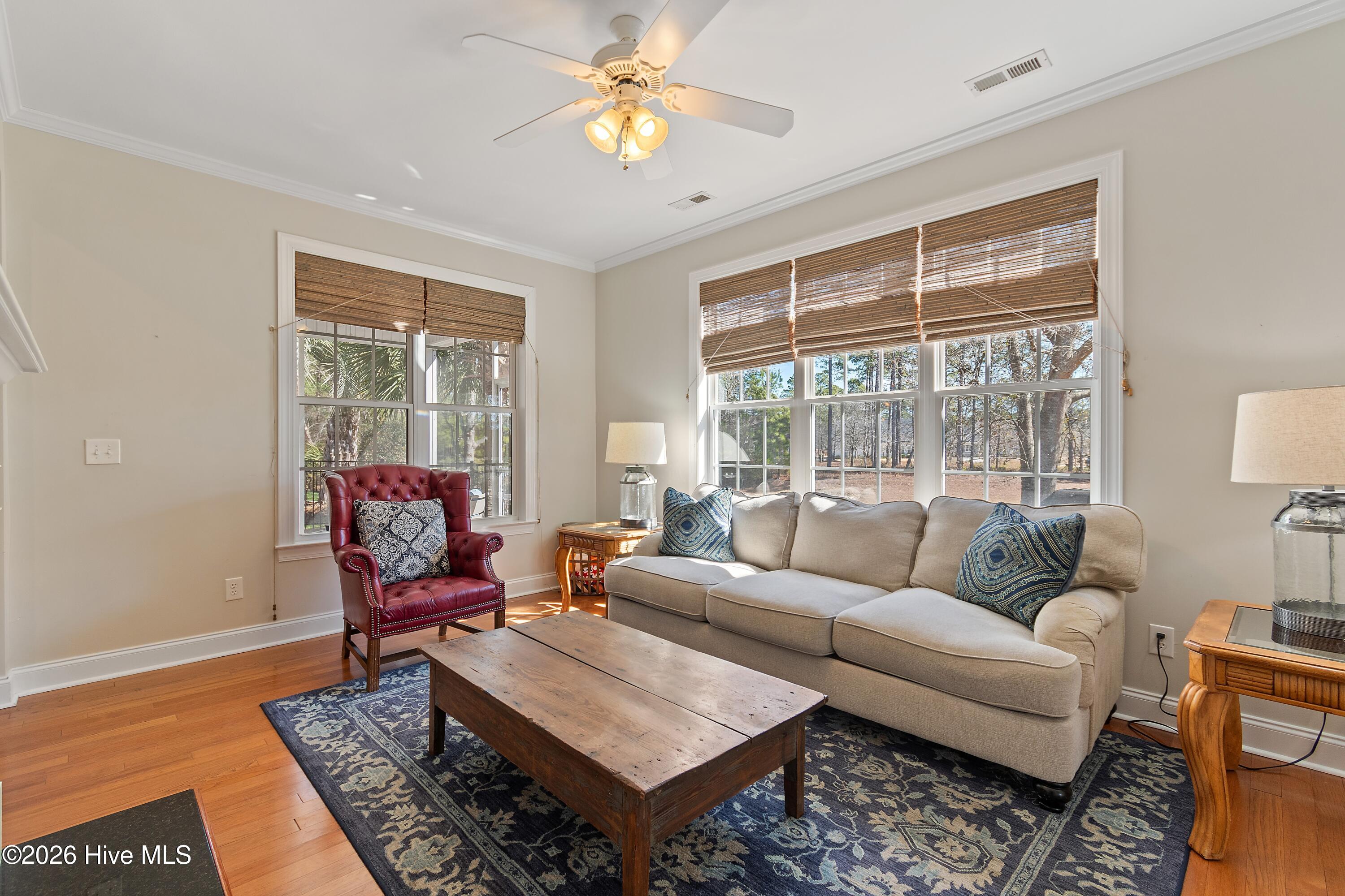 100554573 | Photo 18