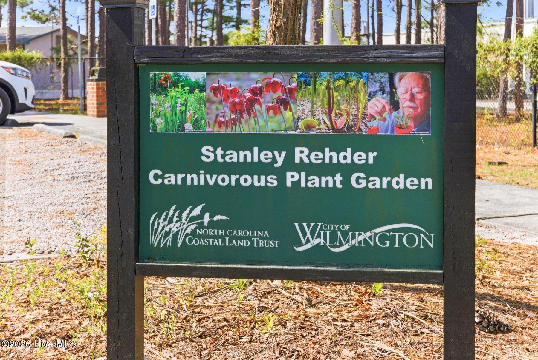 100566257 | Photo 42