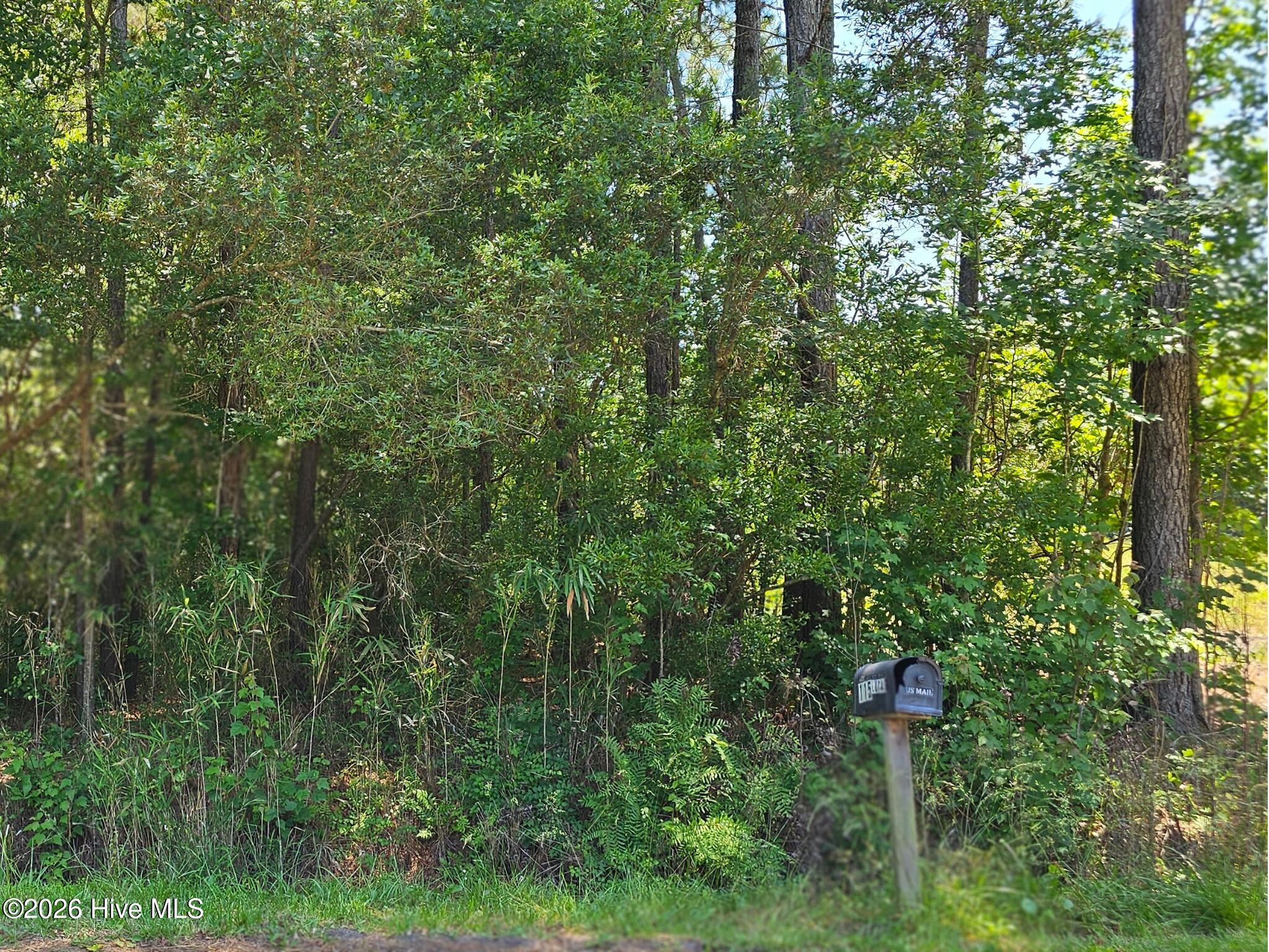 100575122 | Photo 5