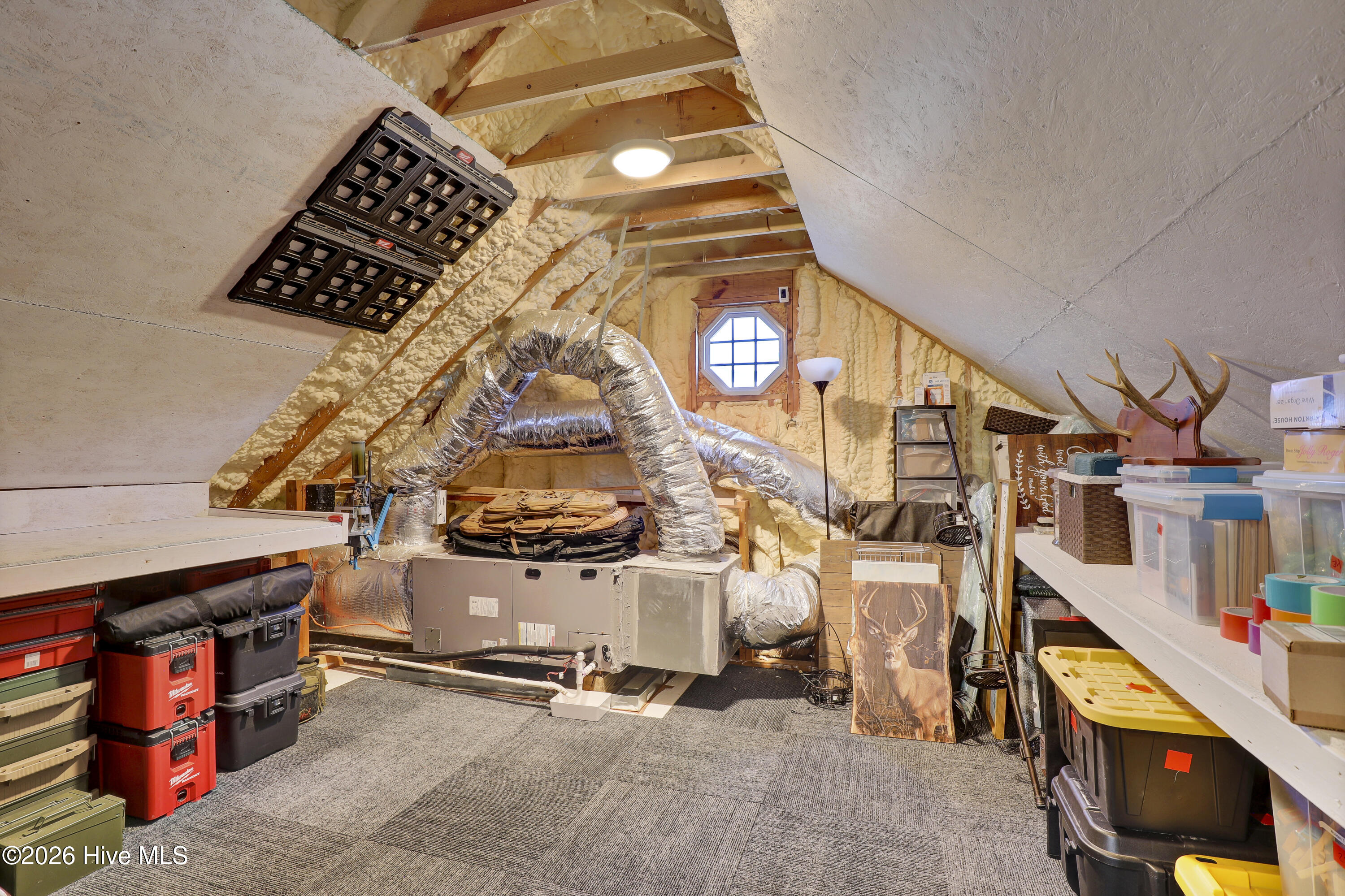 100556725 | Photo 44