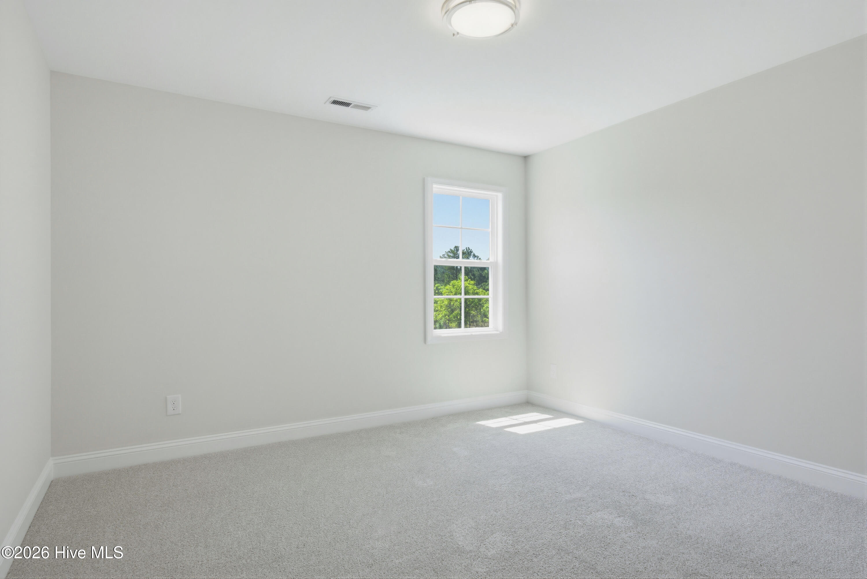 100567408 | Photo 17