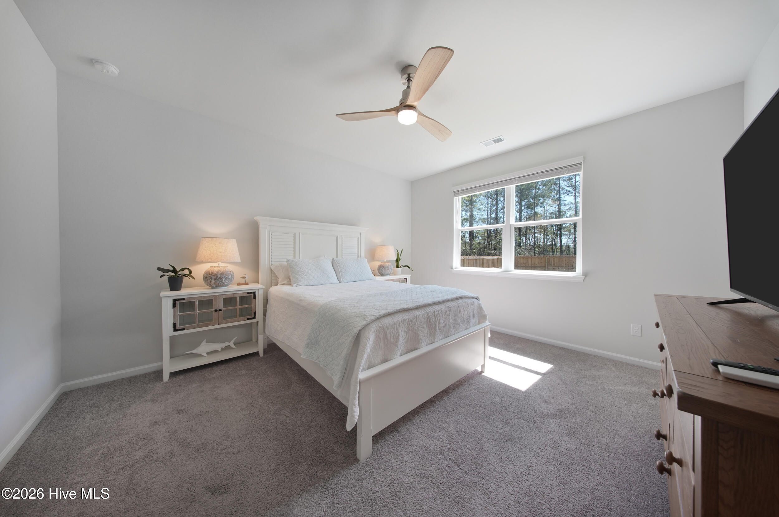 100565594 | Photo 31