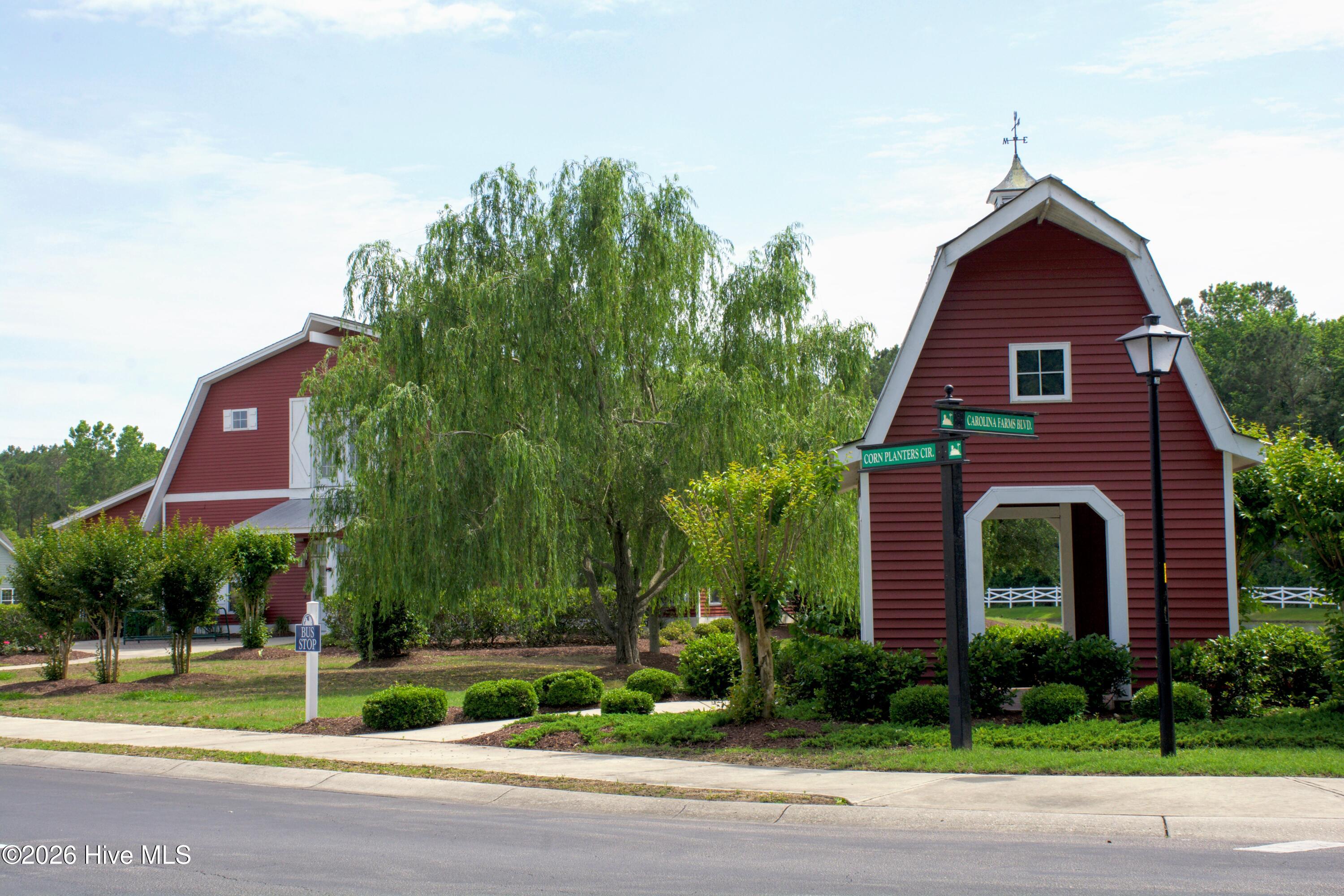 100558240 | Photo 47