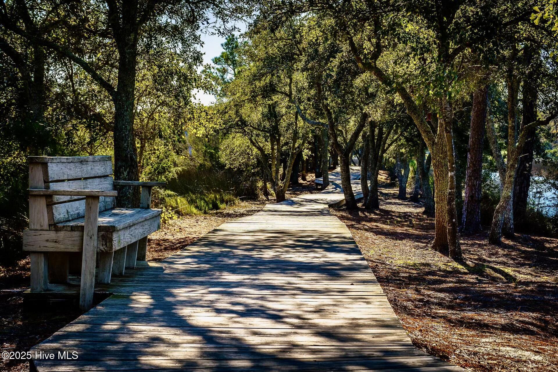 100561939 | Photo 33