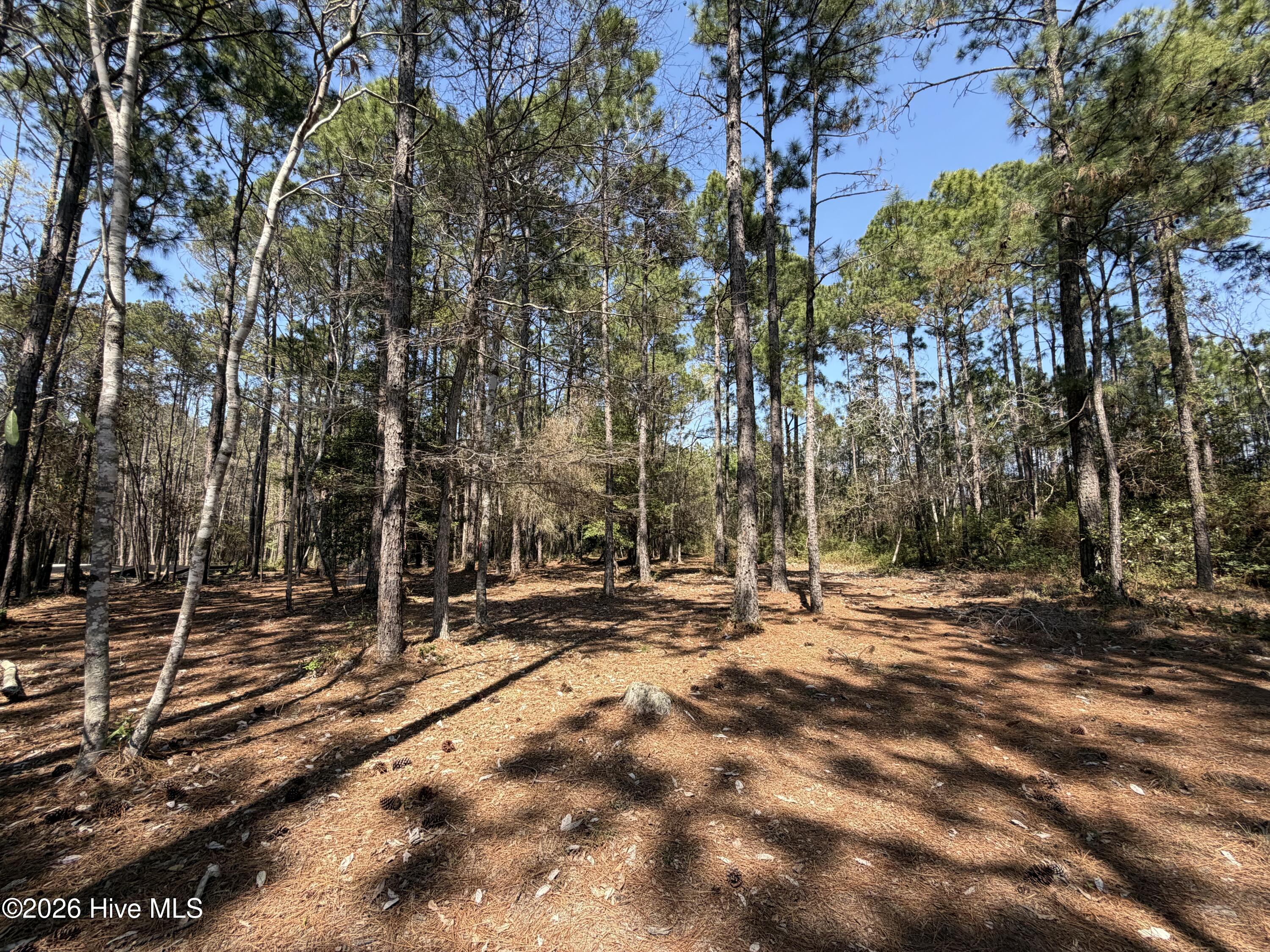 6786 Holton Place, Ocean Isle Beach, NC, 28469