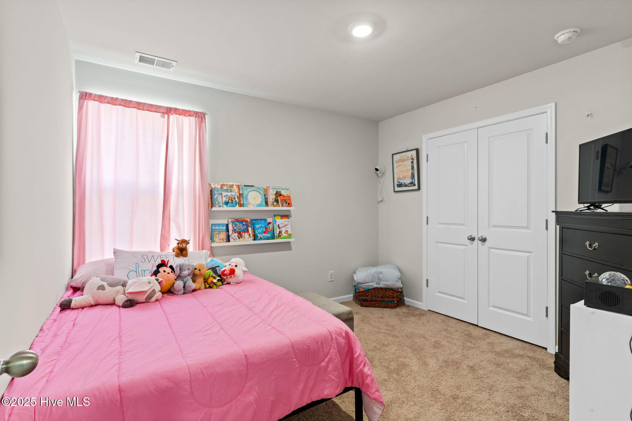 100515817 | Photo 25