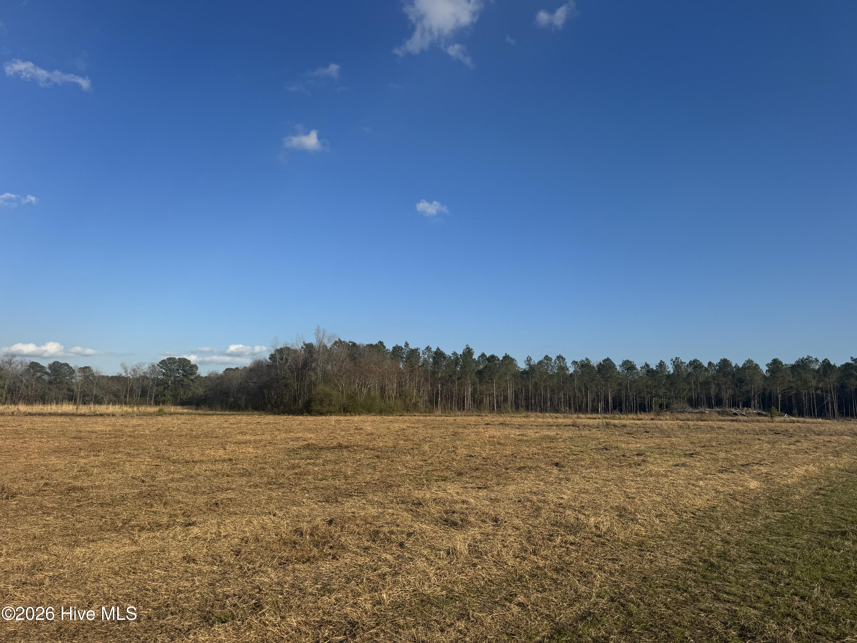 1st image of 0 Old Fayetteville Rd, Garland, NC 28441 | MLS# 100592205