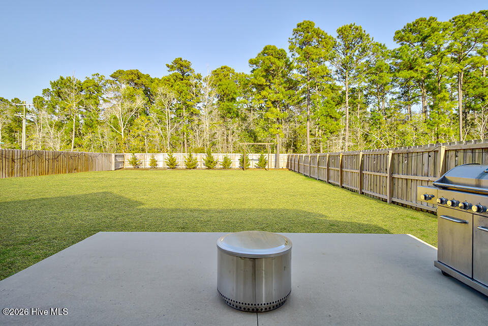 100554310 | Photo 42