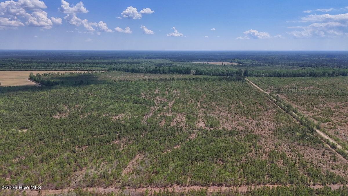 0 Guinea Mill Road, Ernul, NC, 28527