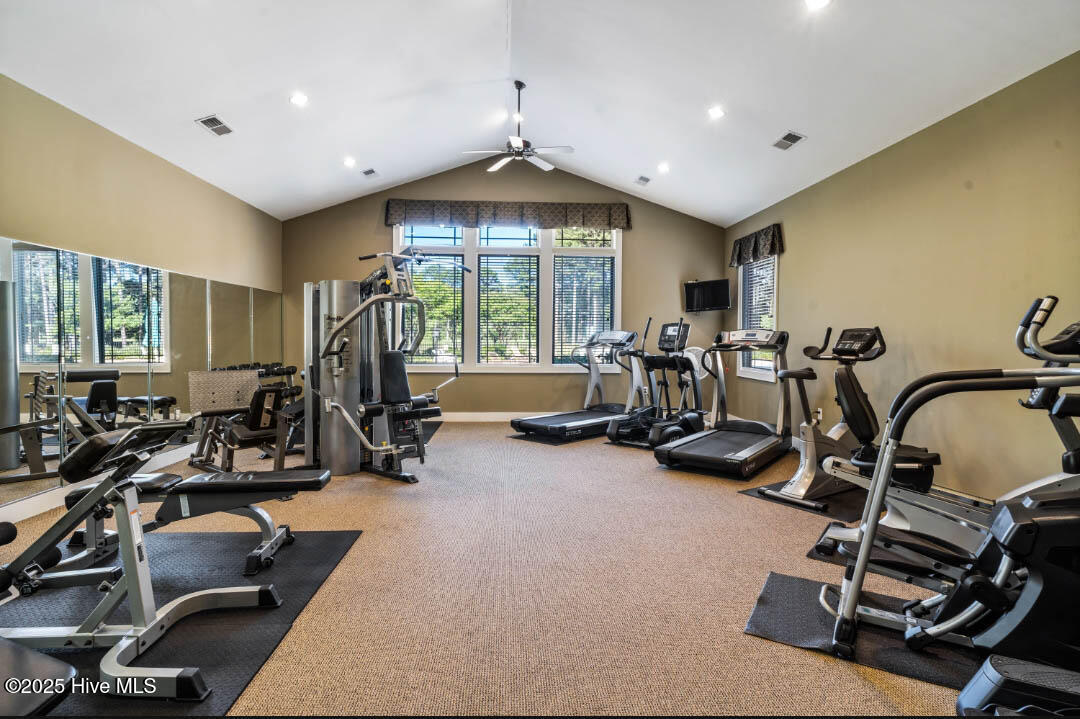 100537525 | Photo 67