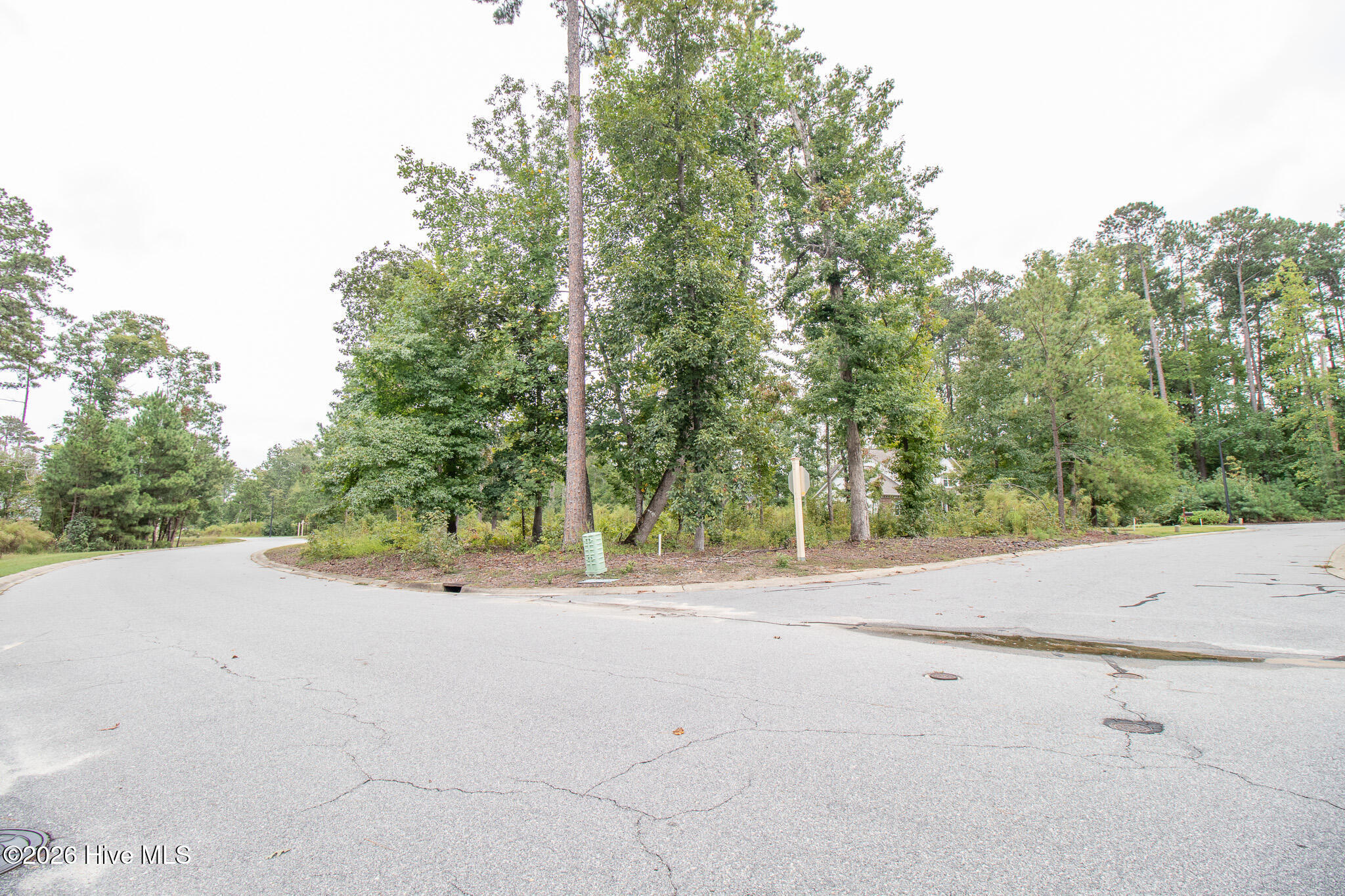 100608341 | Photo 2