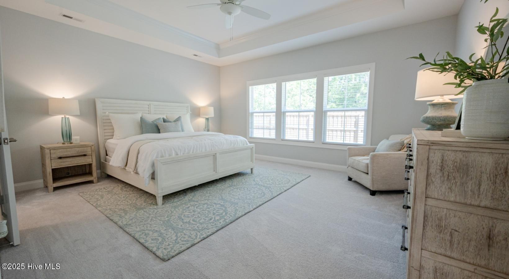 100484534 | Photo 11