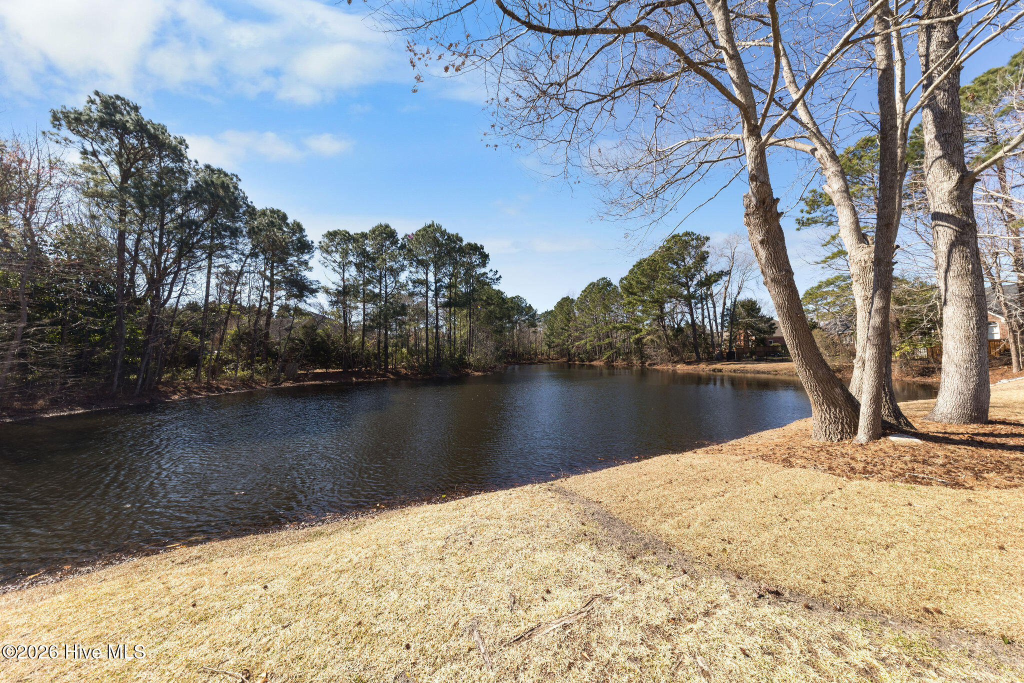 100556784 | Photo 54