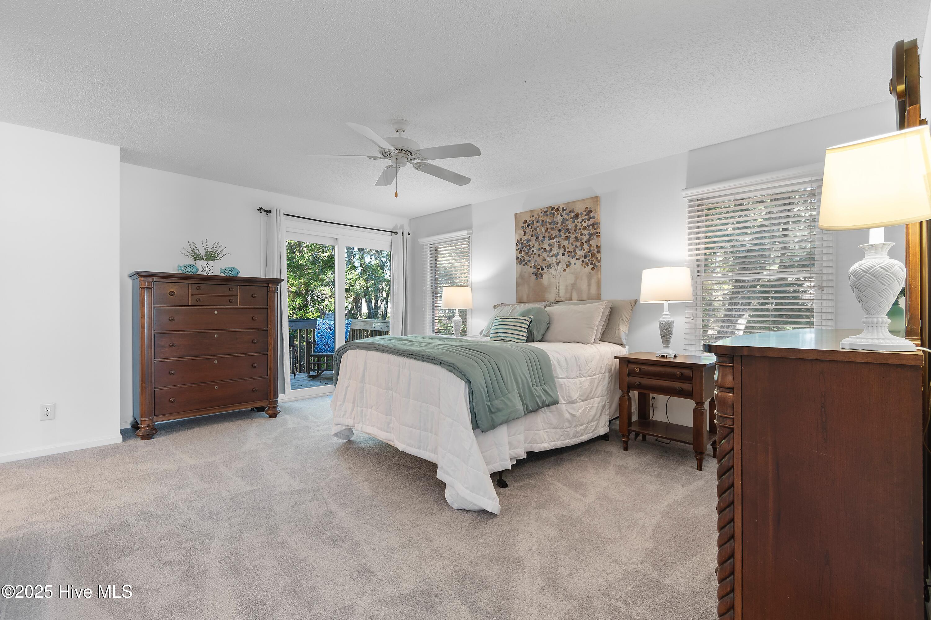 100539605 | Photo 18