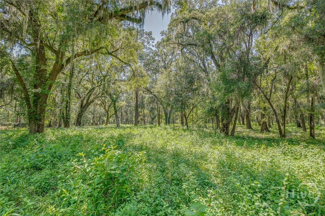 4th image of 777 Silk Hope Dr, Richmond Hill, GA 31324 | MLS# SA363428