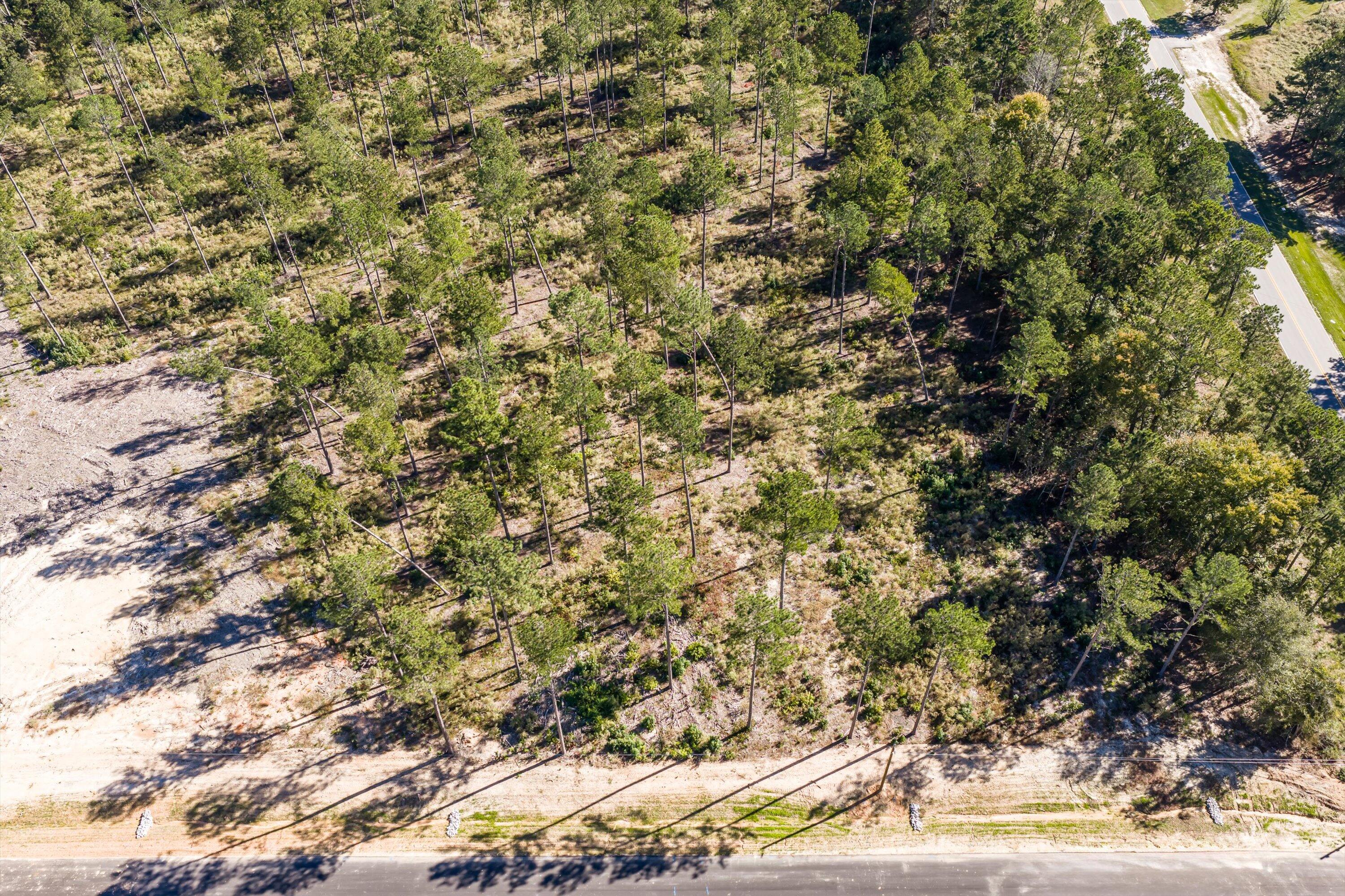 119 Beagle Chase Drive, Appling, GA, 30802