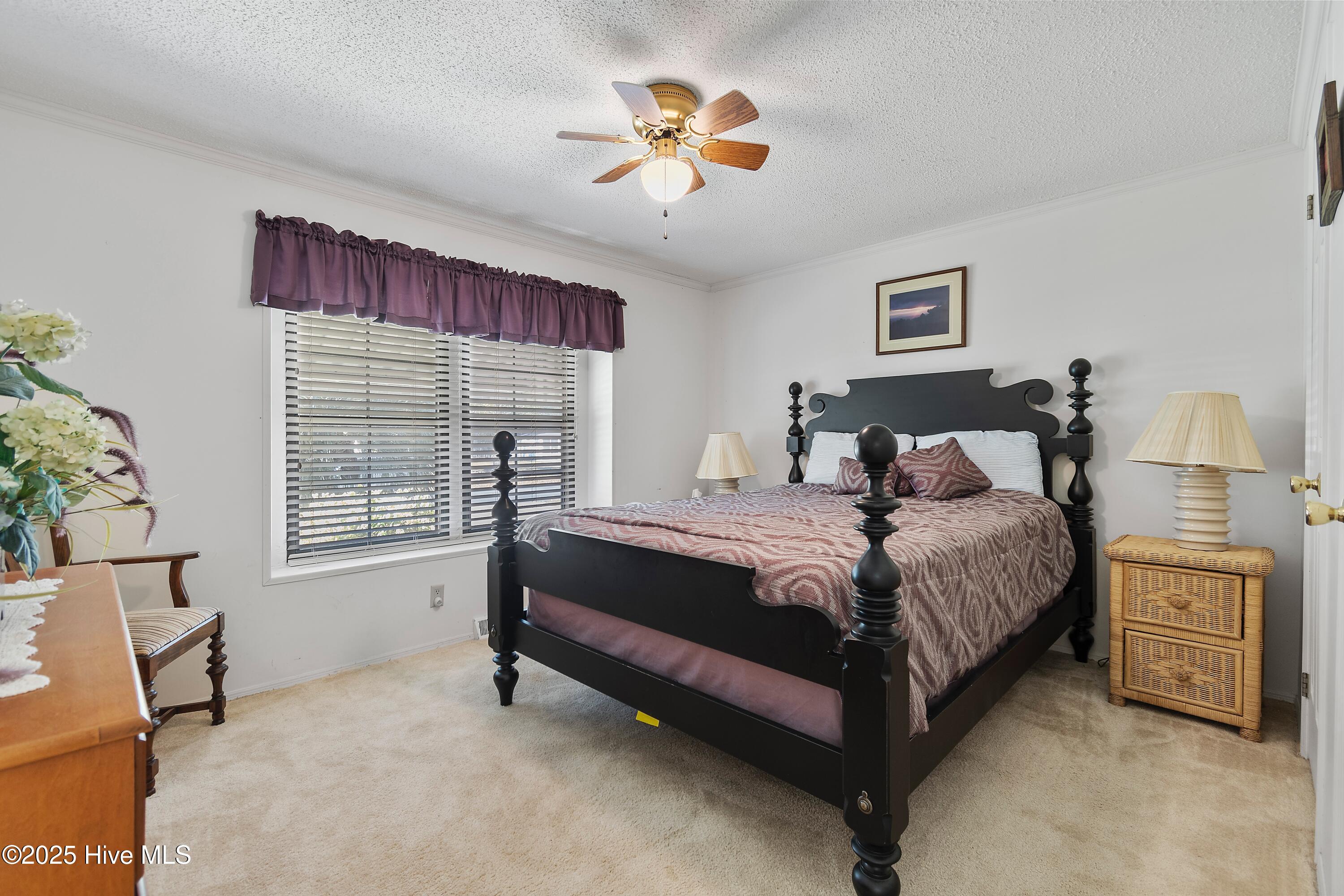 100539730 | Photo 16