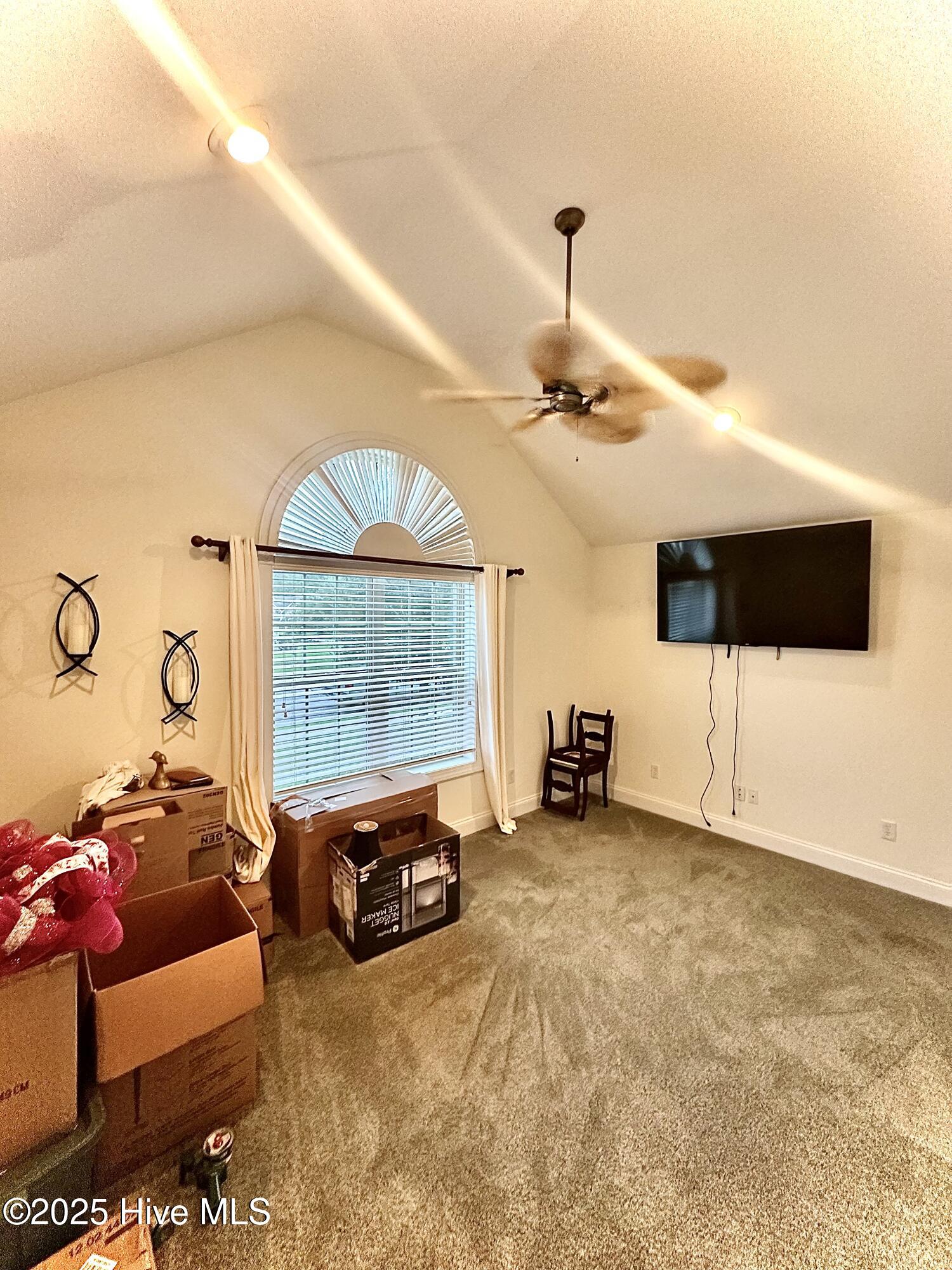 100523246 | Photo 14