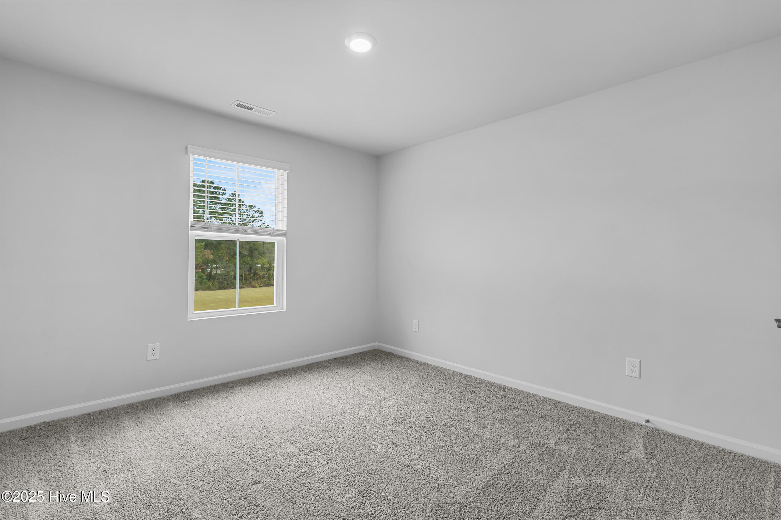 100538946 | Photo 30