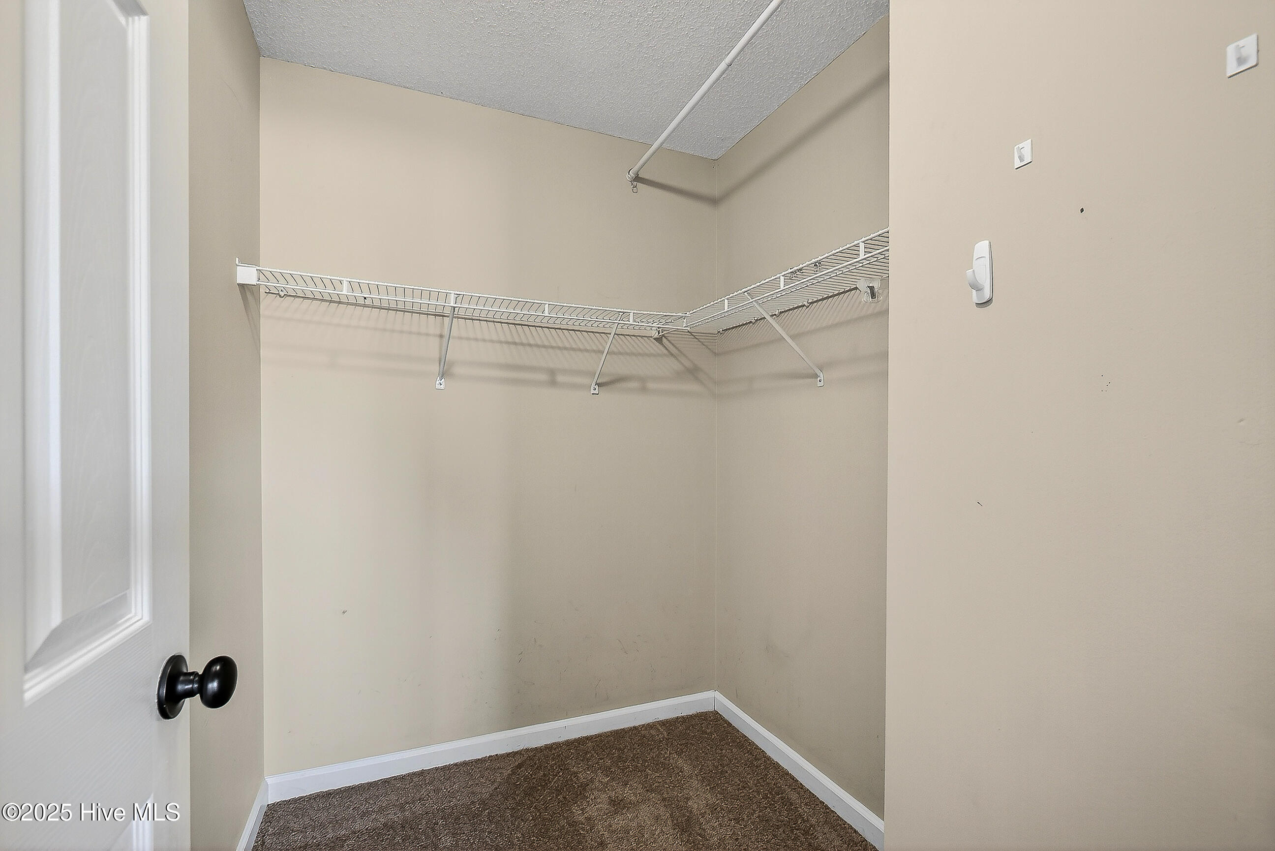 100541143 | Photo 17