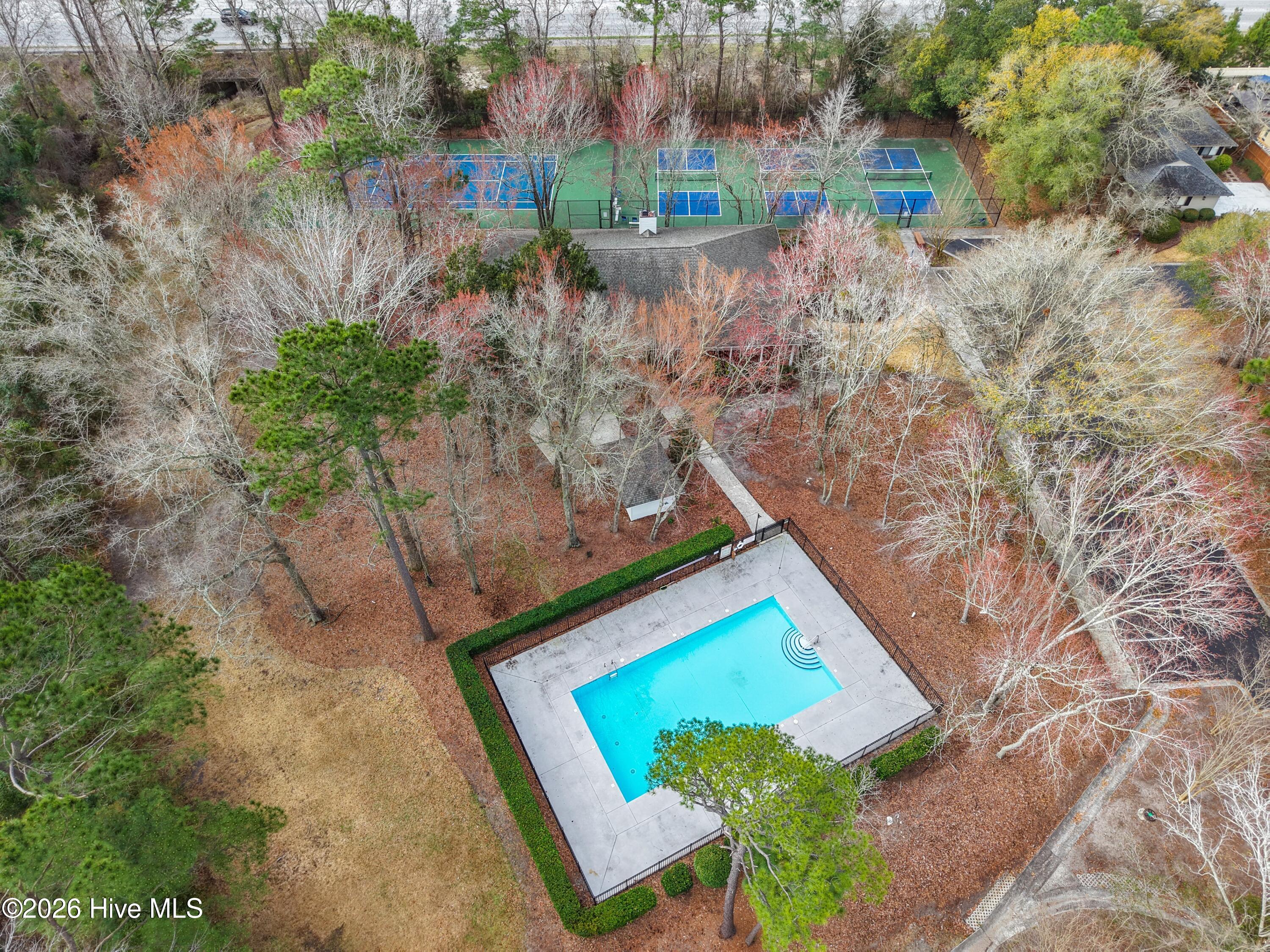 100558002 | Photo 50