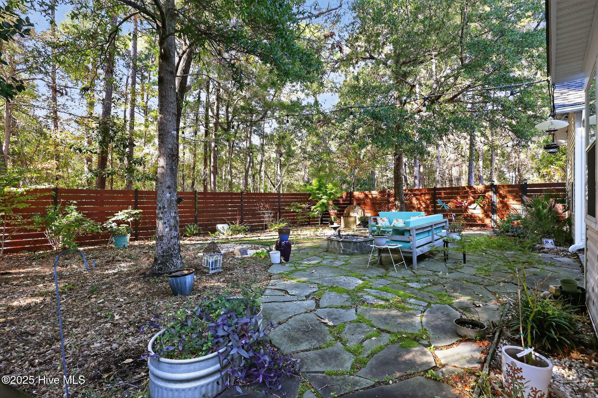 100539359 | Photo 29