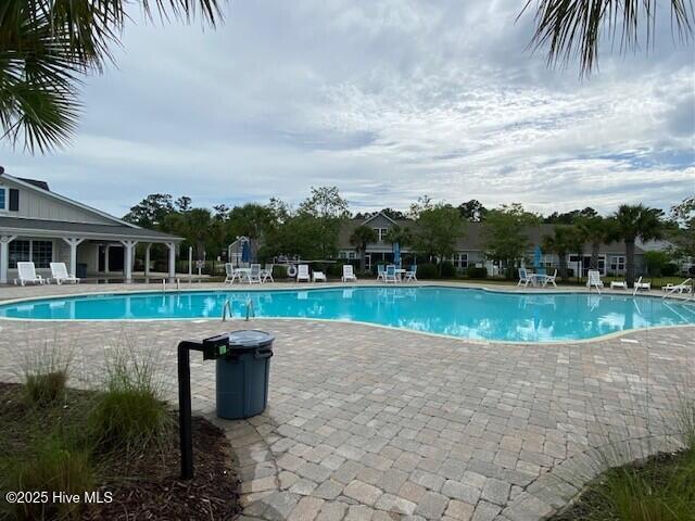 100554847 | Photo 41