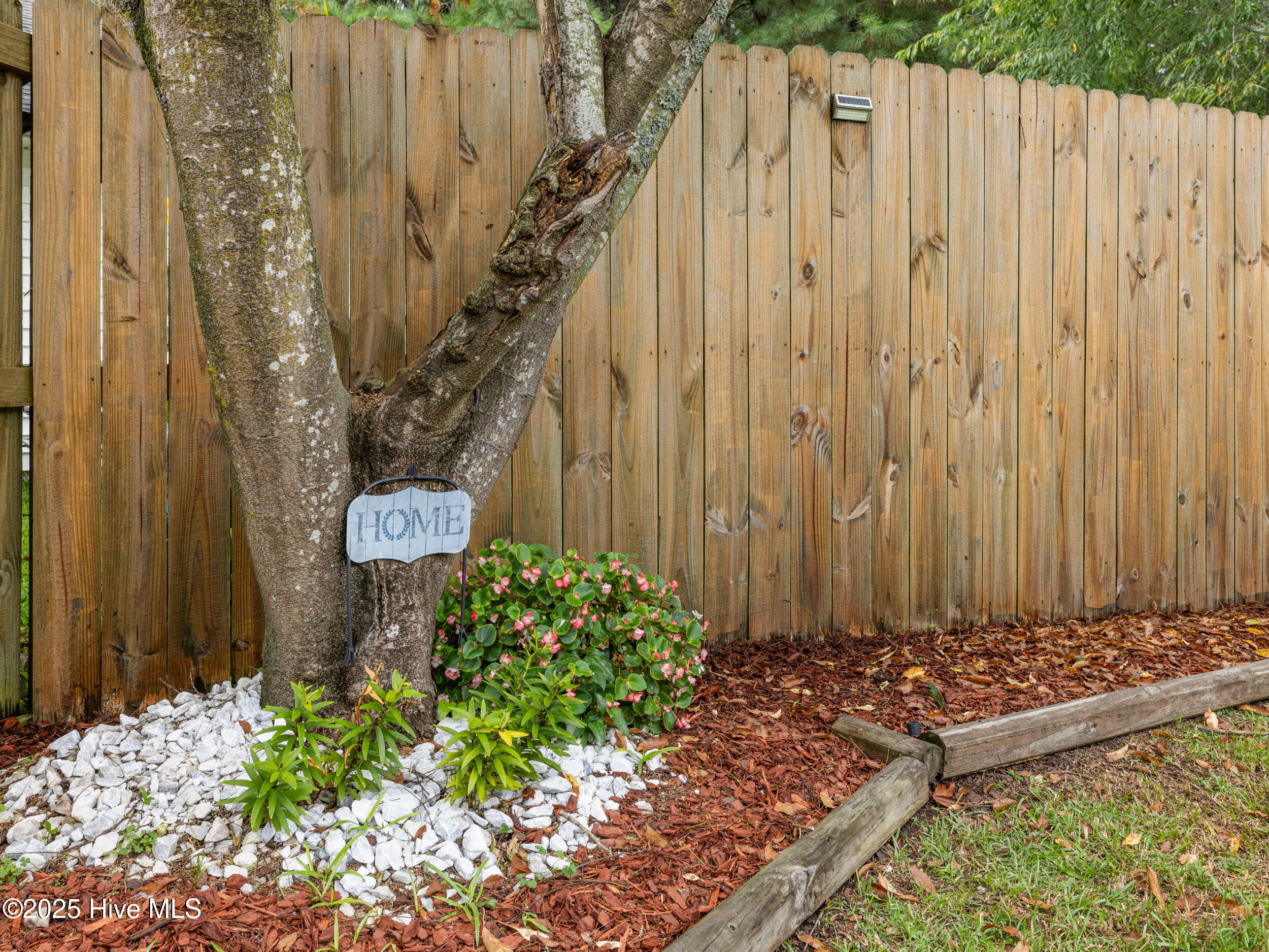 100543442 | Photo 34