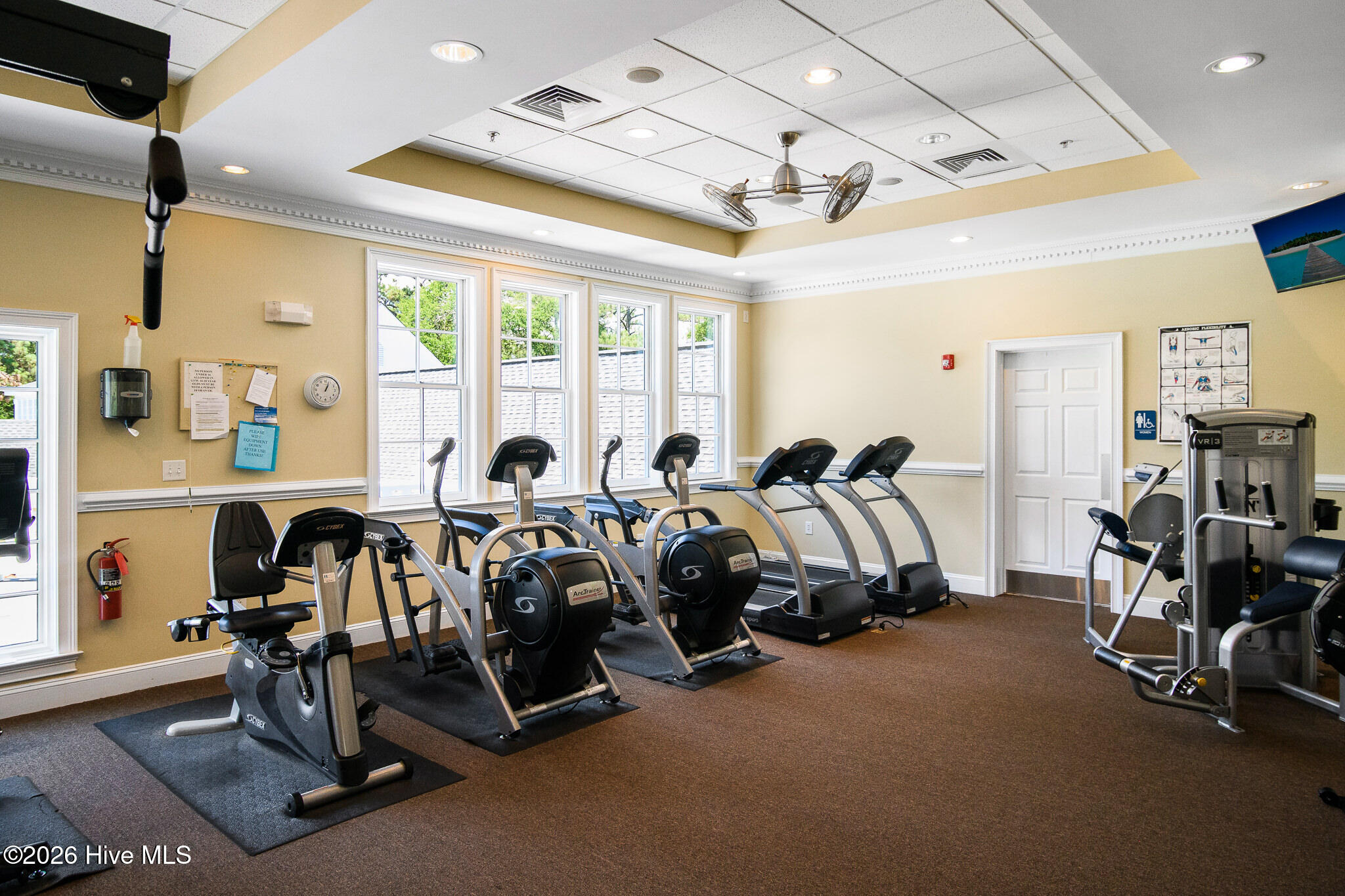 100566909 | Photo 15