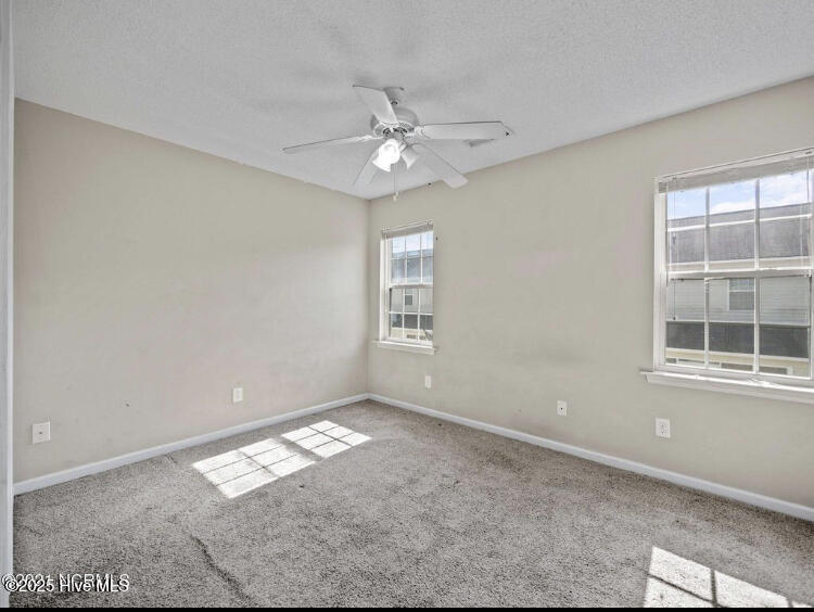 100546630 | Photo 15