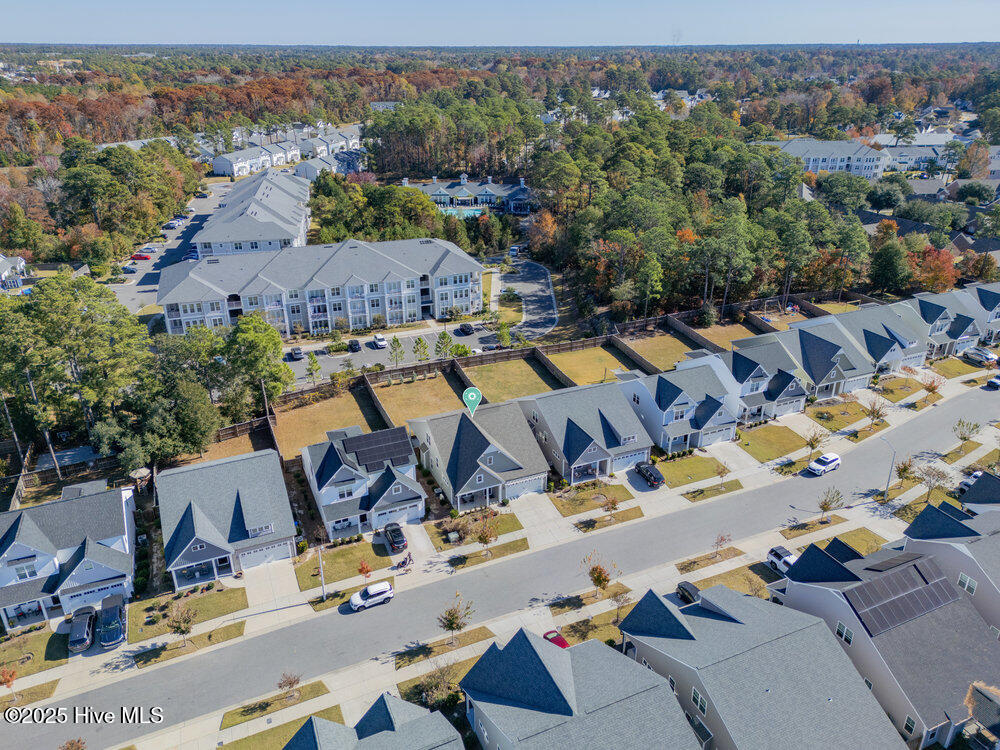 100542116 | Photo 34