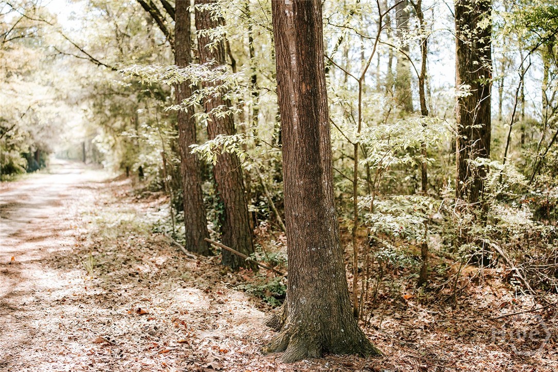 000 Union Point Road, Stephens, GA, 30667