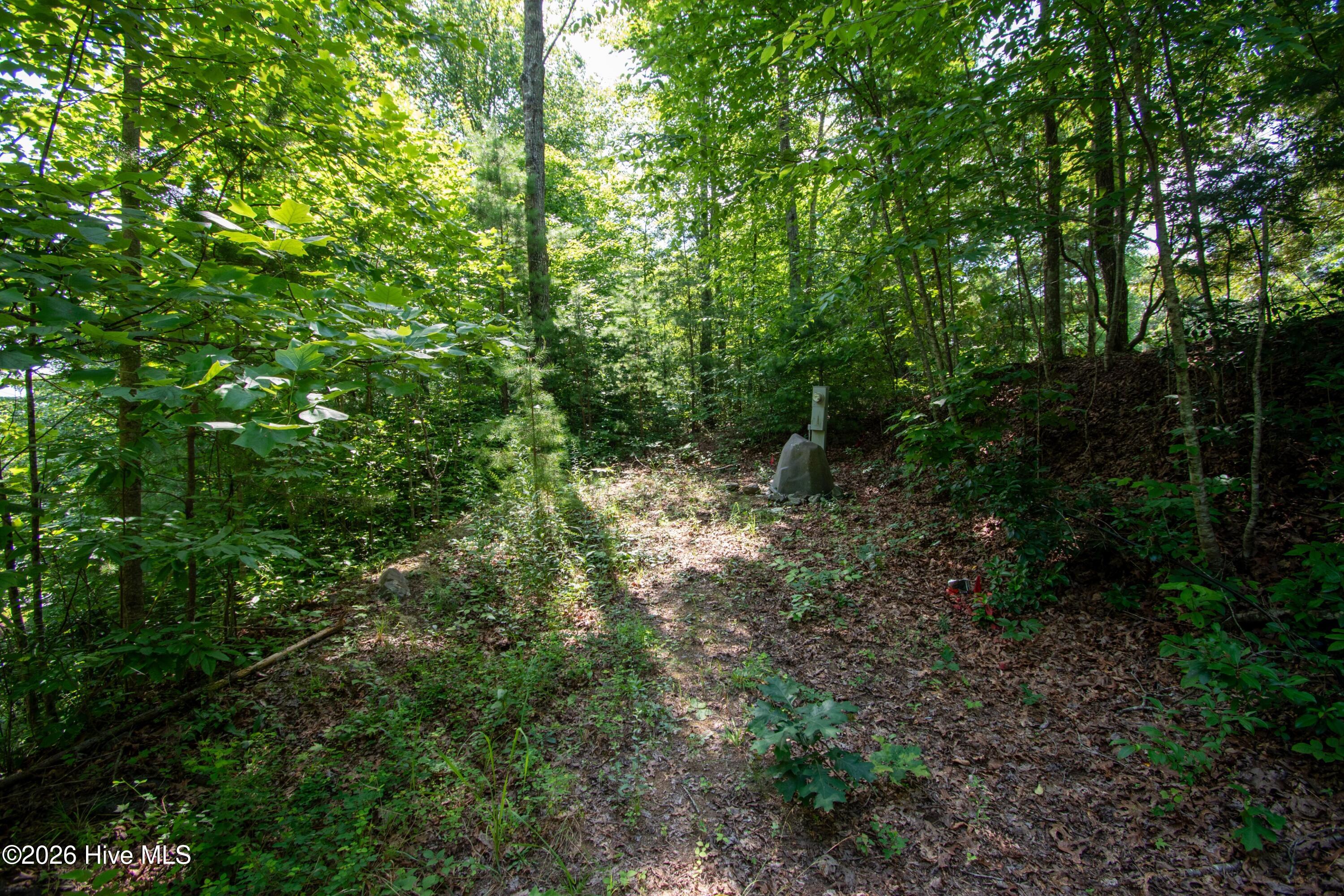 Exterior photo of 125 7 Desoto Trail, Marble, NC 28905. MLS: 100588190