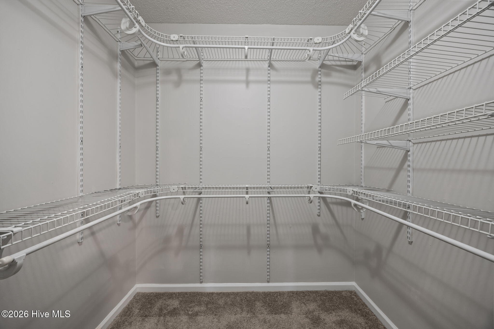 100553131 | Photo 23